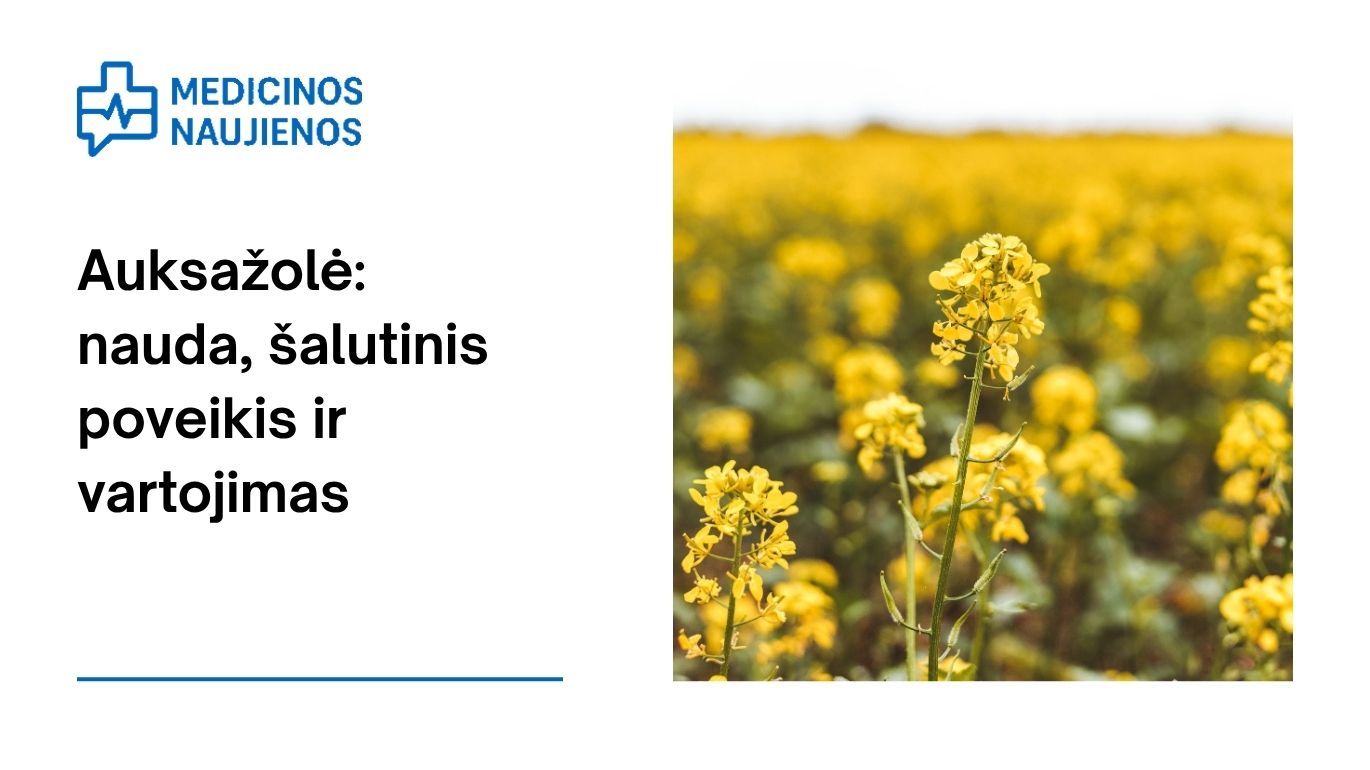 Auksažolė: nauda, šalutinis poveikis, mitybos faktai, naudojimas ir dar daugiau