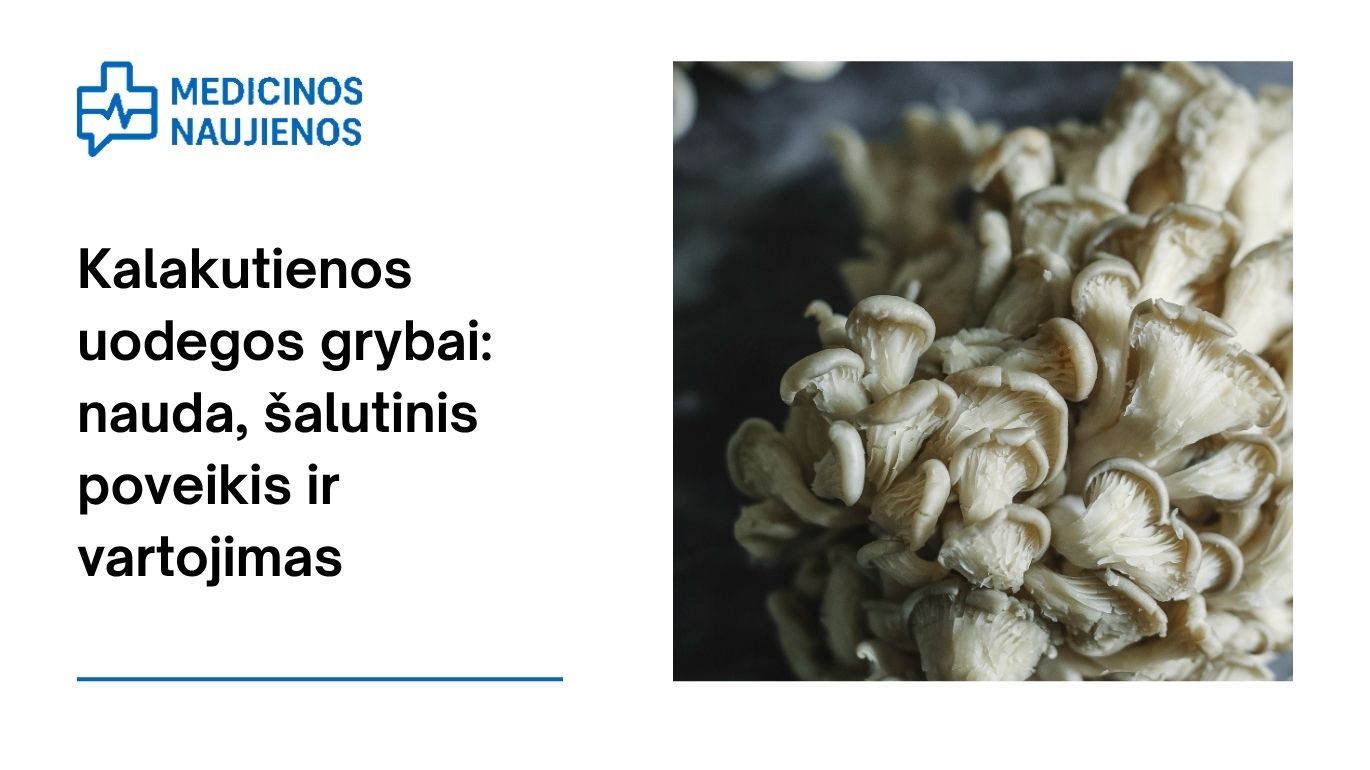 Kalakutienos uodegos grybai: nauda, šalutinis poveikis, maistingumo faktai, naudojimas ir dar daugiau