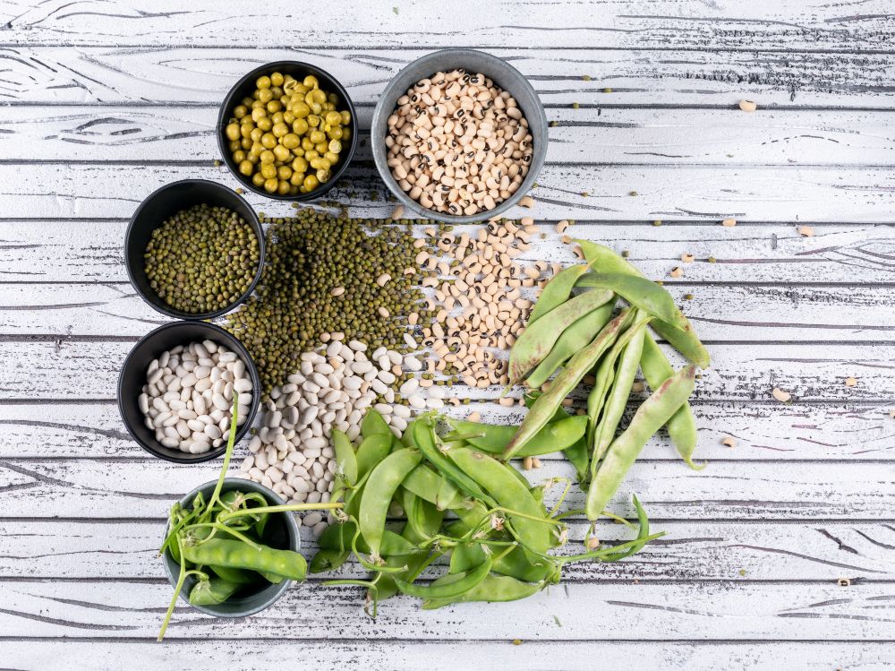 Skirtingų augalinių proteinų palyginimas: žirnių, ryžių, sojos, kanapių