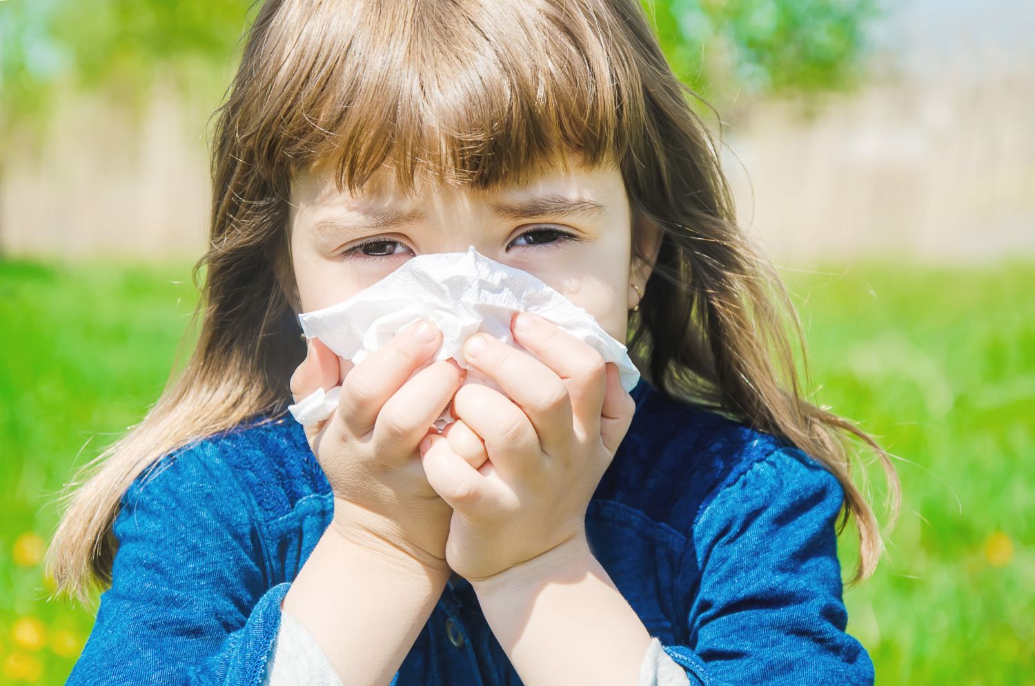 Alergijos: Simptomai, priežastys, gydymas, prevencija