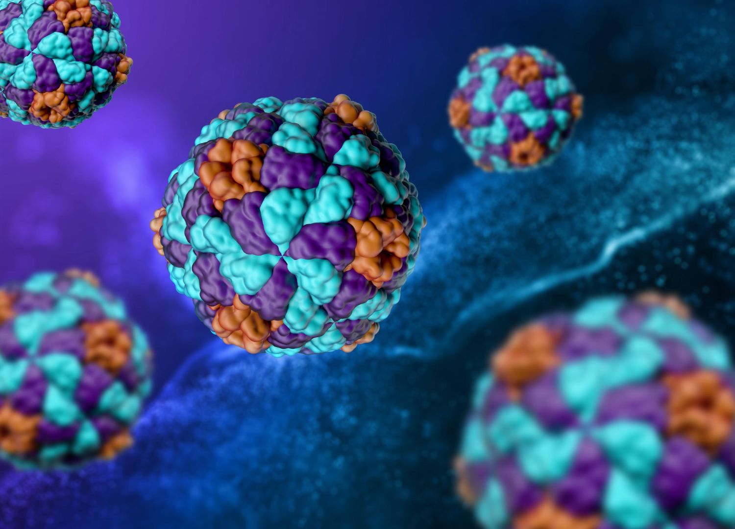 Norovirusas: Norovirus: simptomai, priežastys, gydymas, prevencija
