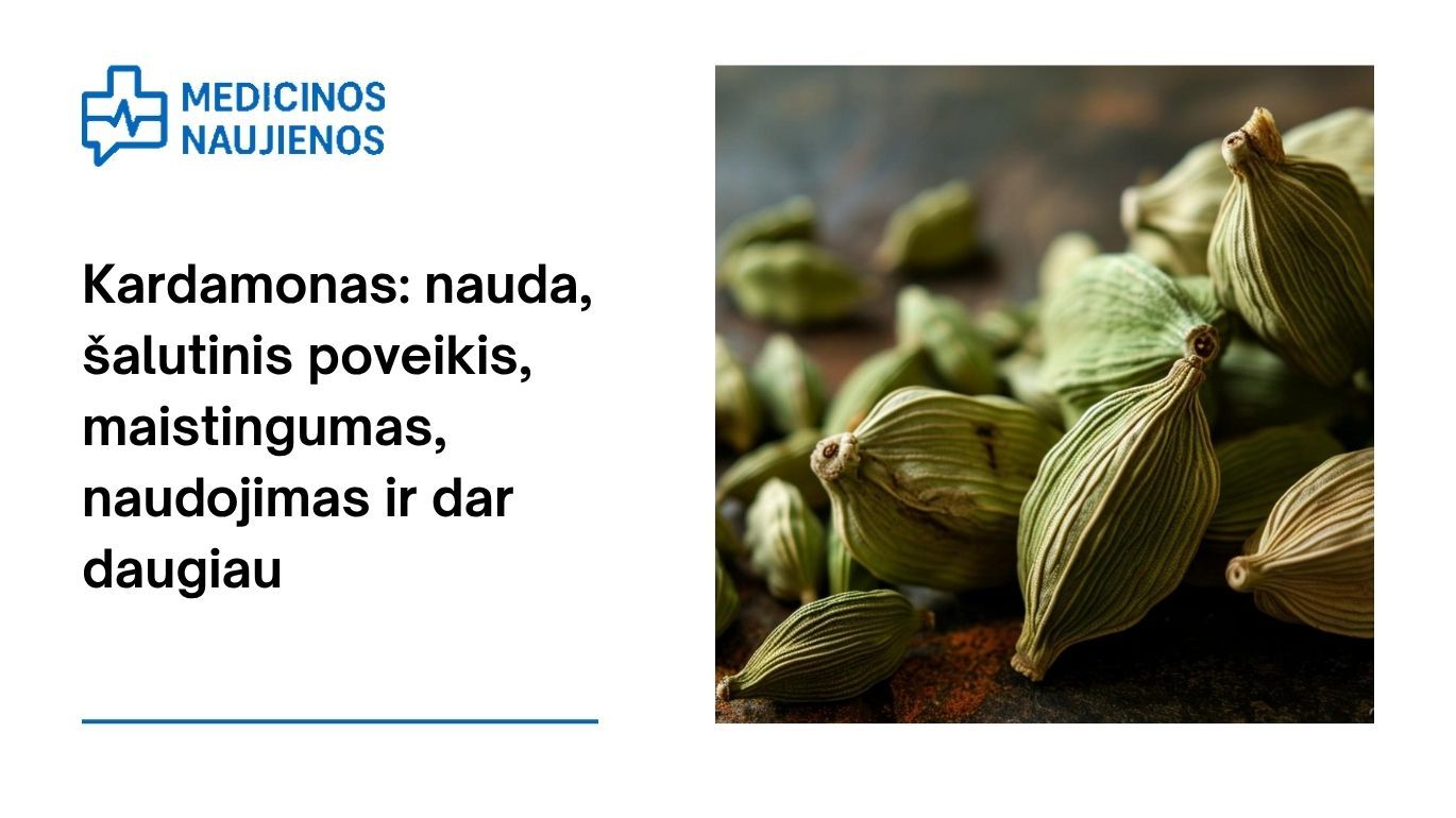 Kardamonas: nauda, šalutinis poveikis, maistingumas, naudojimas ir dar daugiau