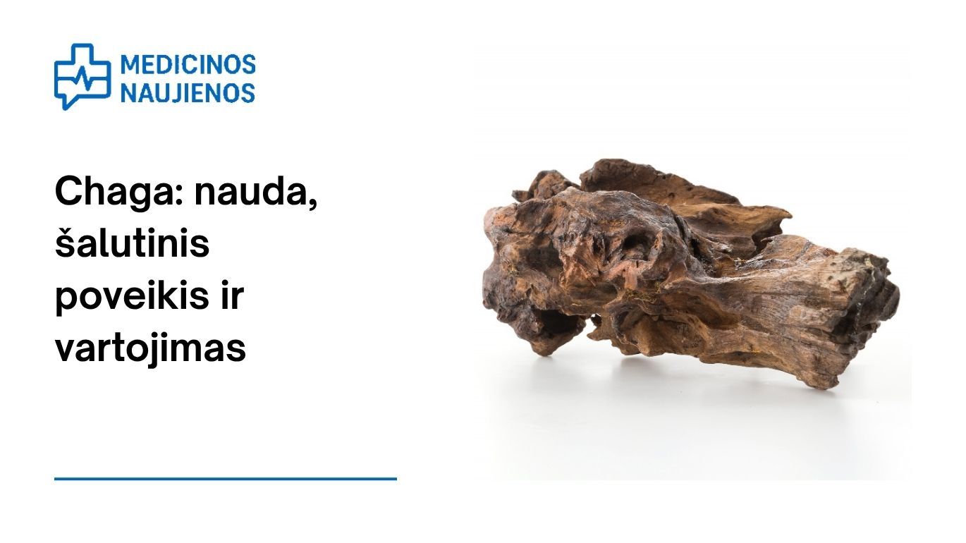Chaga: nauda, šalutinis poveikis, mitybos faktai, naudojimas ir dar daugiau