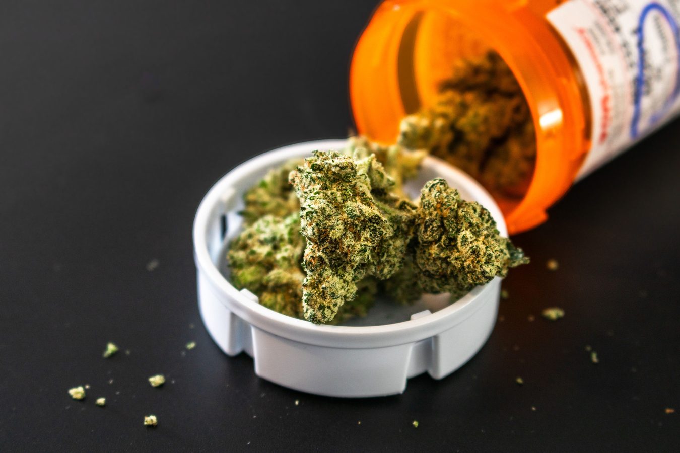 Kanapių terpenai mažino skausmą be THC poveikio