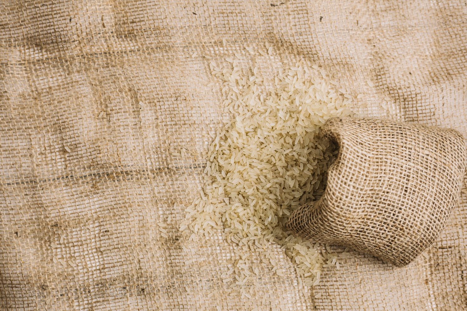 Kanapių pluoštai: nauda, šalutinis poveikis, panaudojimas ir dar daugiau