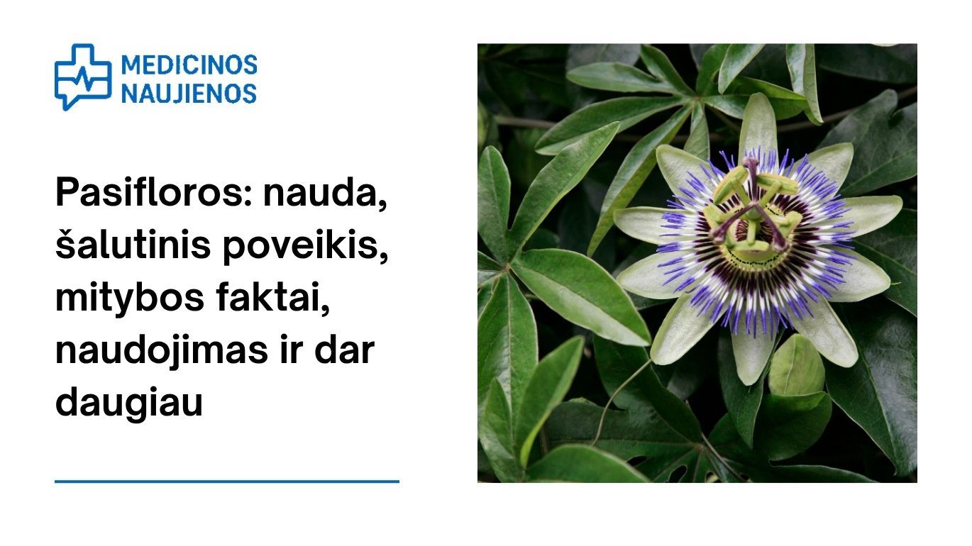 Pasifloros: nauda, šalutinis poveikis, mitybos faktai, naudojimas ir dar daugiau
