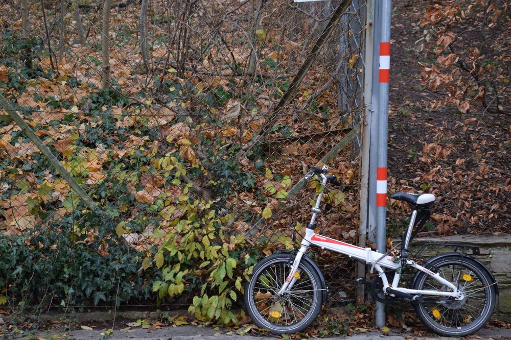 Baltas sulankstomas dviratis prie tvoros rudenį