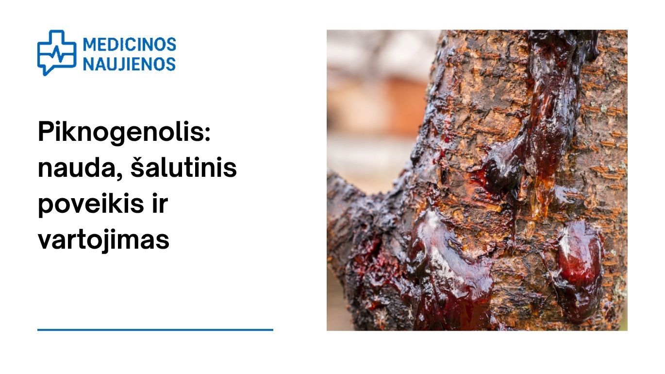 Piknogenolis (Prancūzijos jūrų pušų žievės ekstraktas): nauda, šalutinis poveikis, mitybos faktai, naudojimas ir dar daugiau