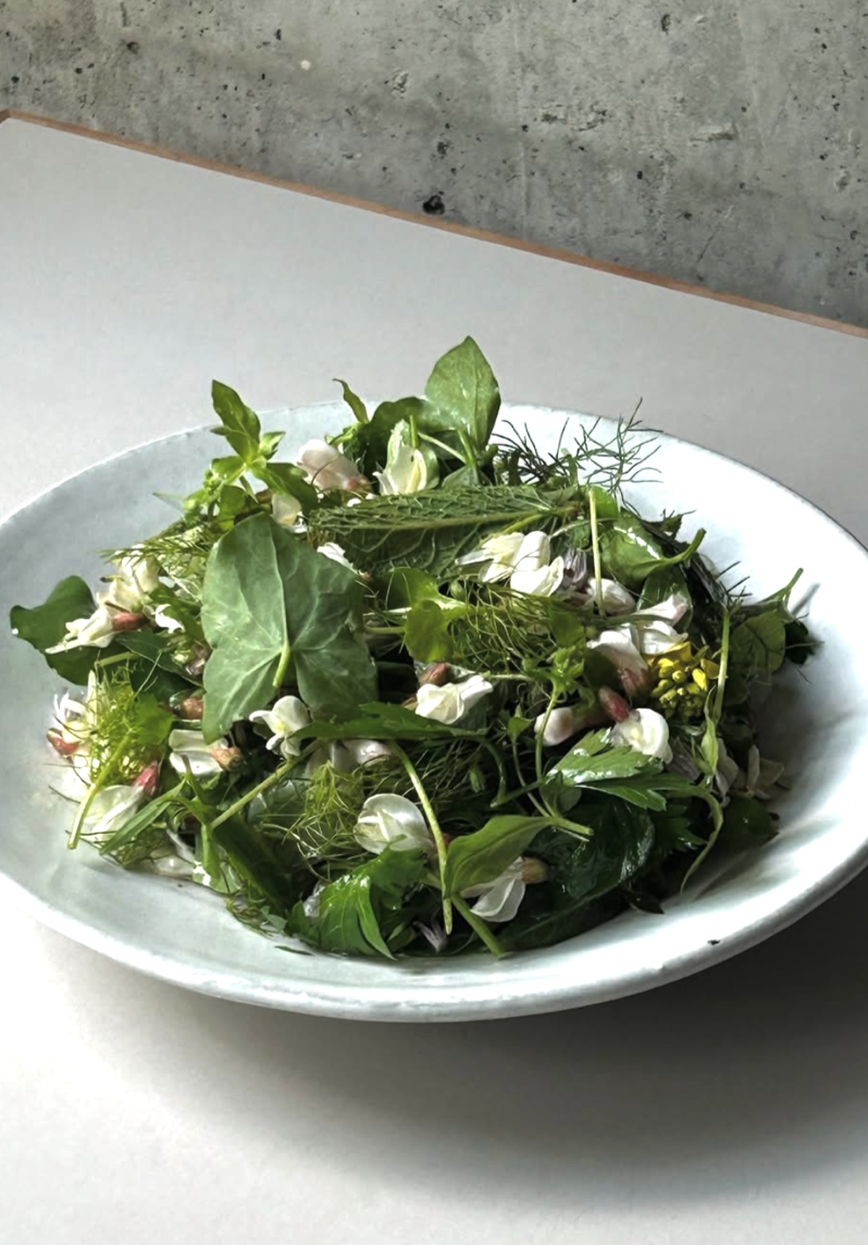 Herb salad from Otto, Berlin.