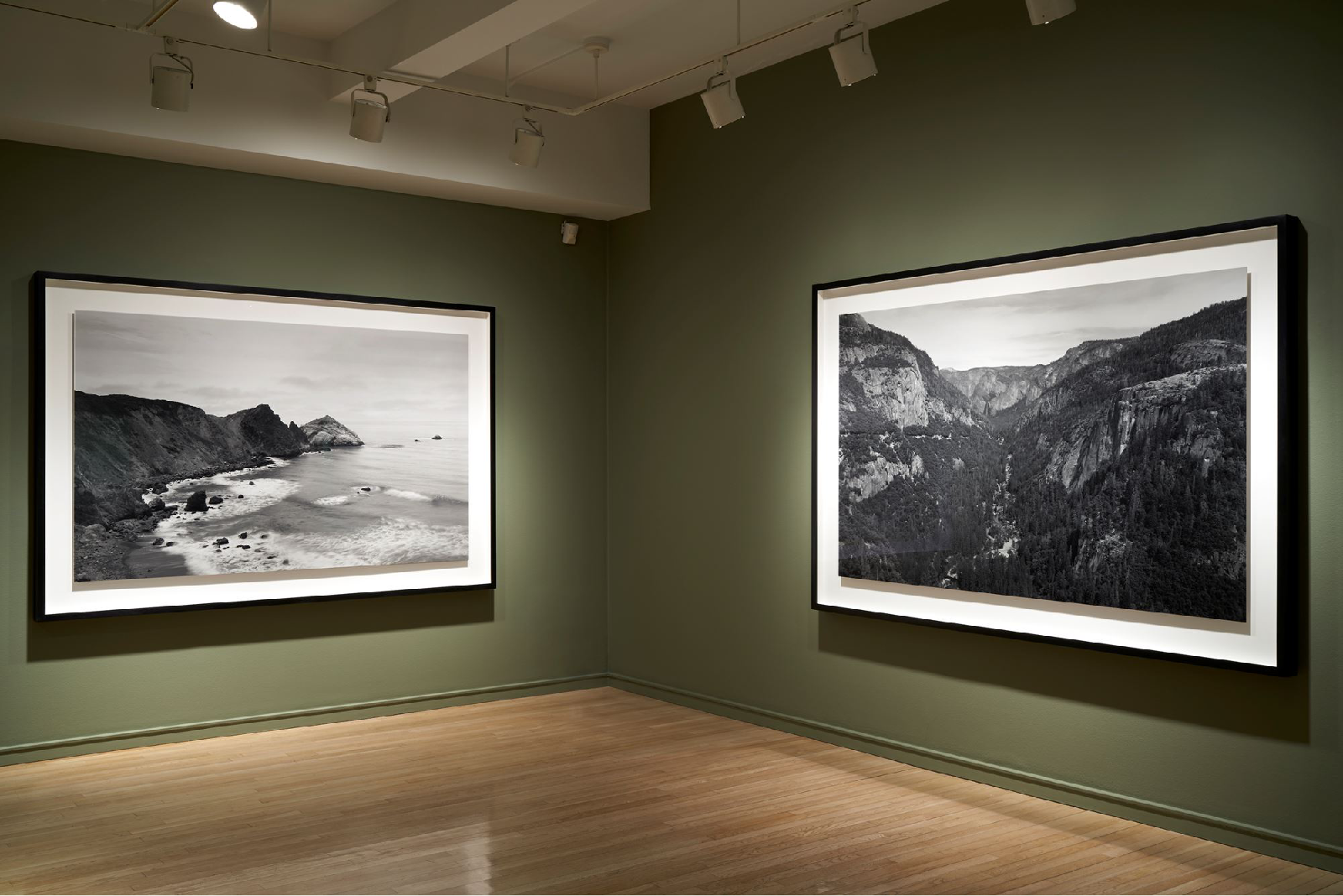 Exhibition views of Richard Learoyd's "Curious" show, 2019. Pace/MacGill Gallery.