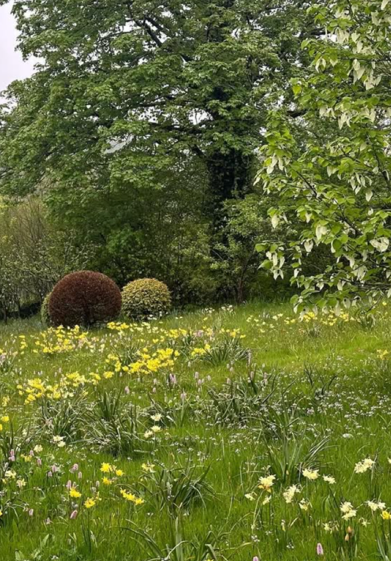 Arne Maynard gardens.