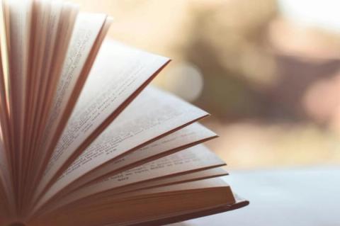 An open book with its pages fanned out, against a blurred, softly lit background.