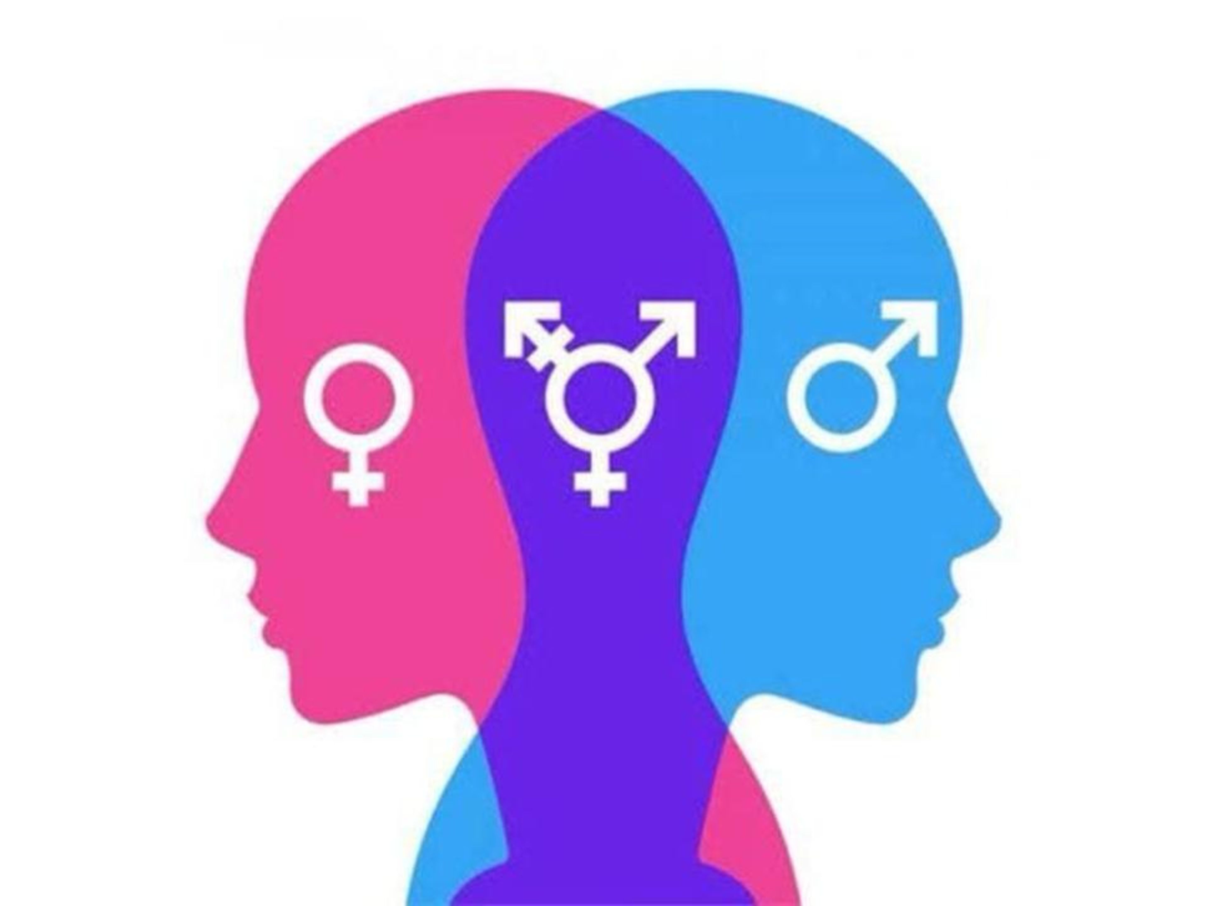 Pink, purple, and blue head silhouettes showing female, transgender, and male symbols respectively.