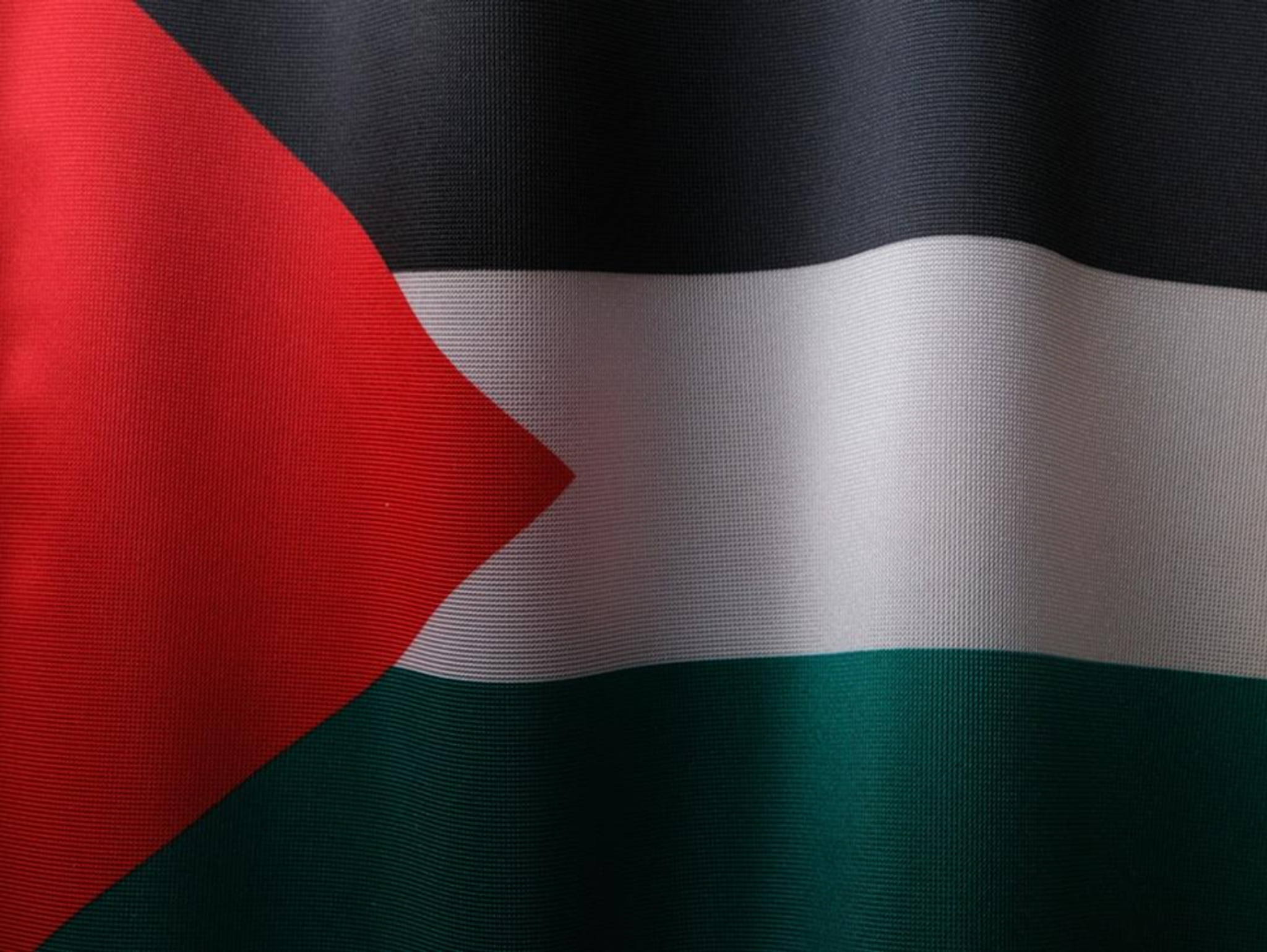 Palestinian flag.