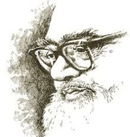 A pen-and-ink drawing of an optical illusion: an old man's profile forms a woman's face and upper body.