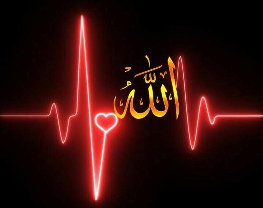 Red heartbeat line with a heart symbol and golden Arabic calligraphy for 'Allah' on a black background.