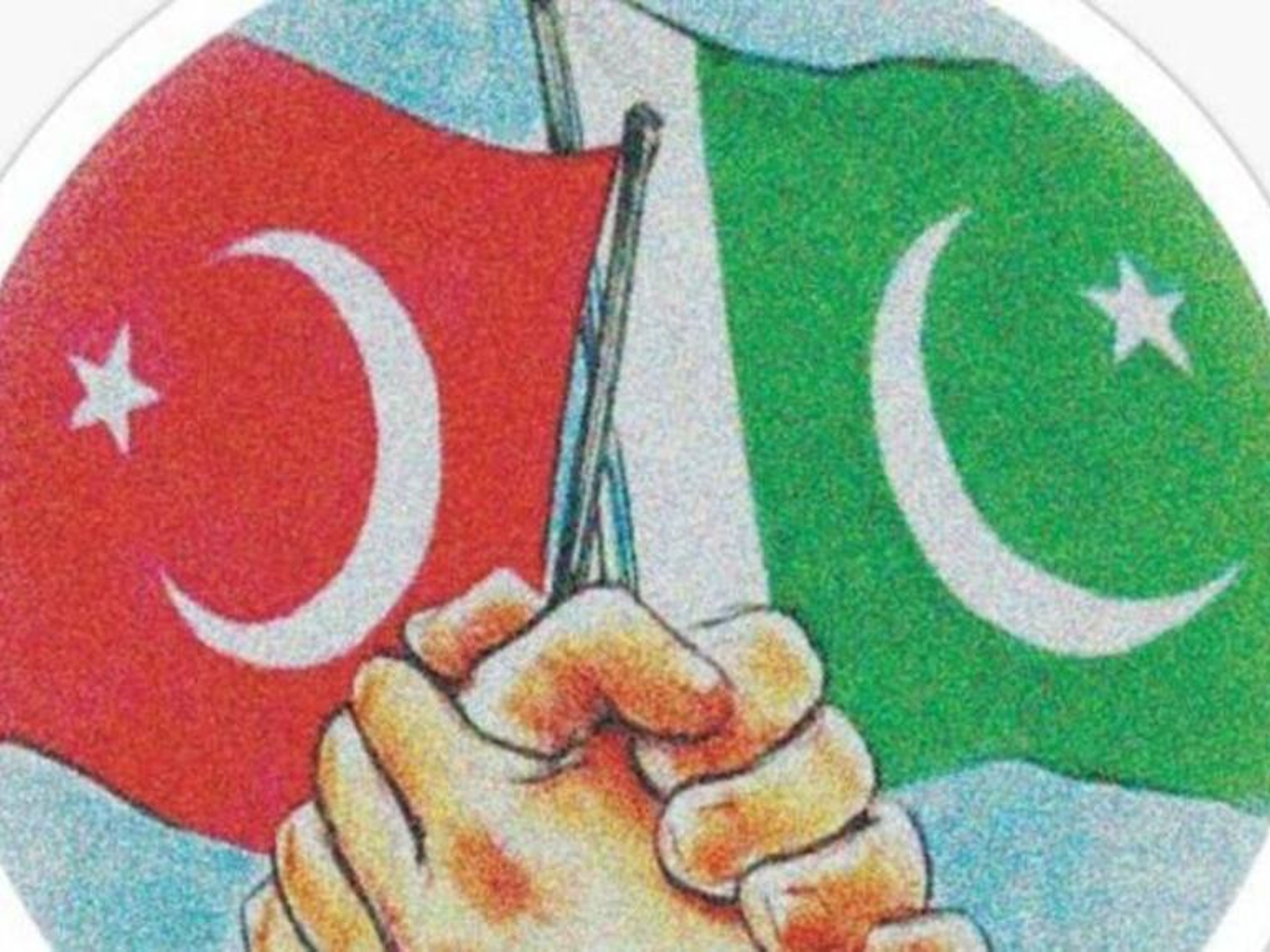 Illustration of two clasped hands holding the Turkish and Pakistani flags.