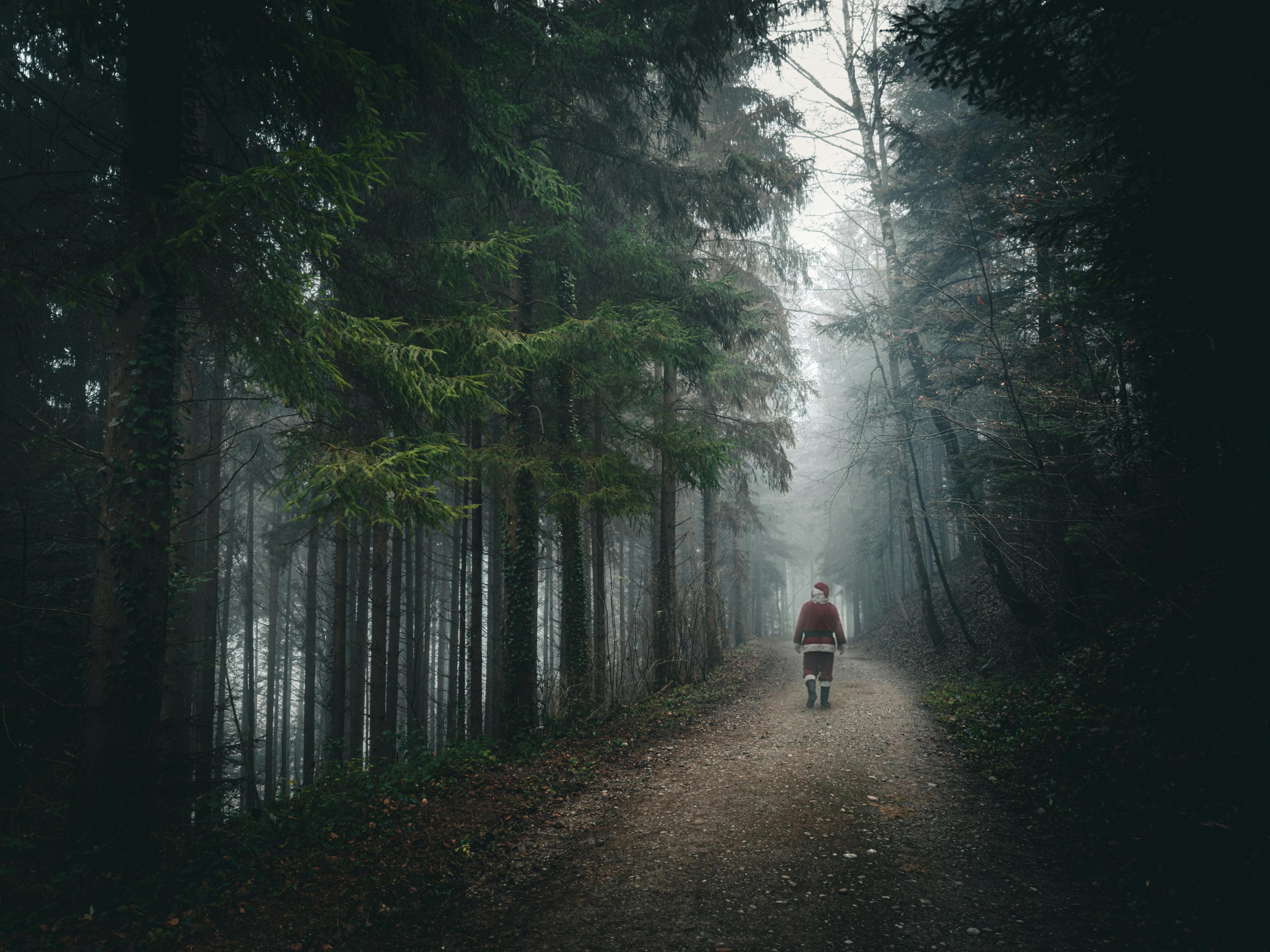 Santa Claus walking away on a foggy path through a dark, dense forest.