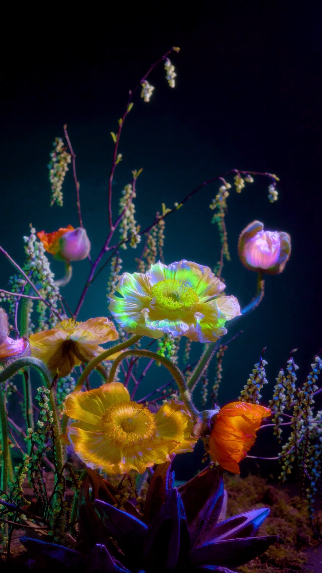 Colorful underwater scene