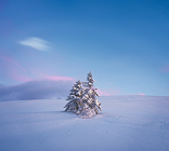 Person by water with city skyline