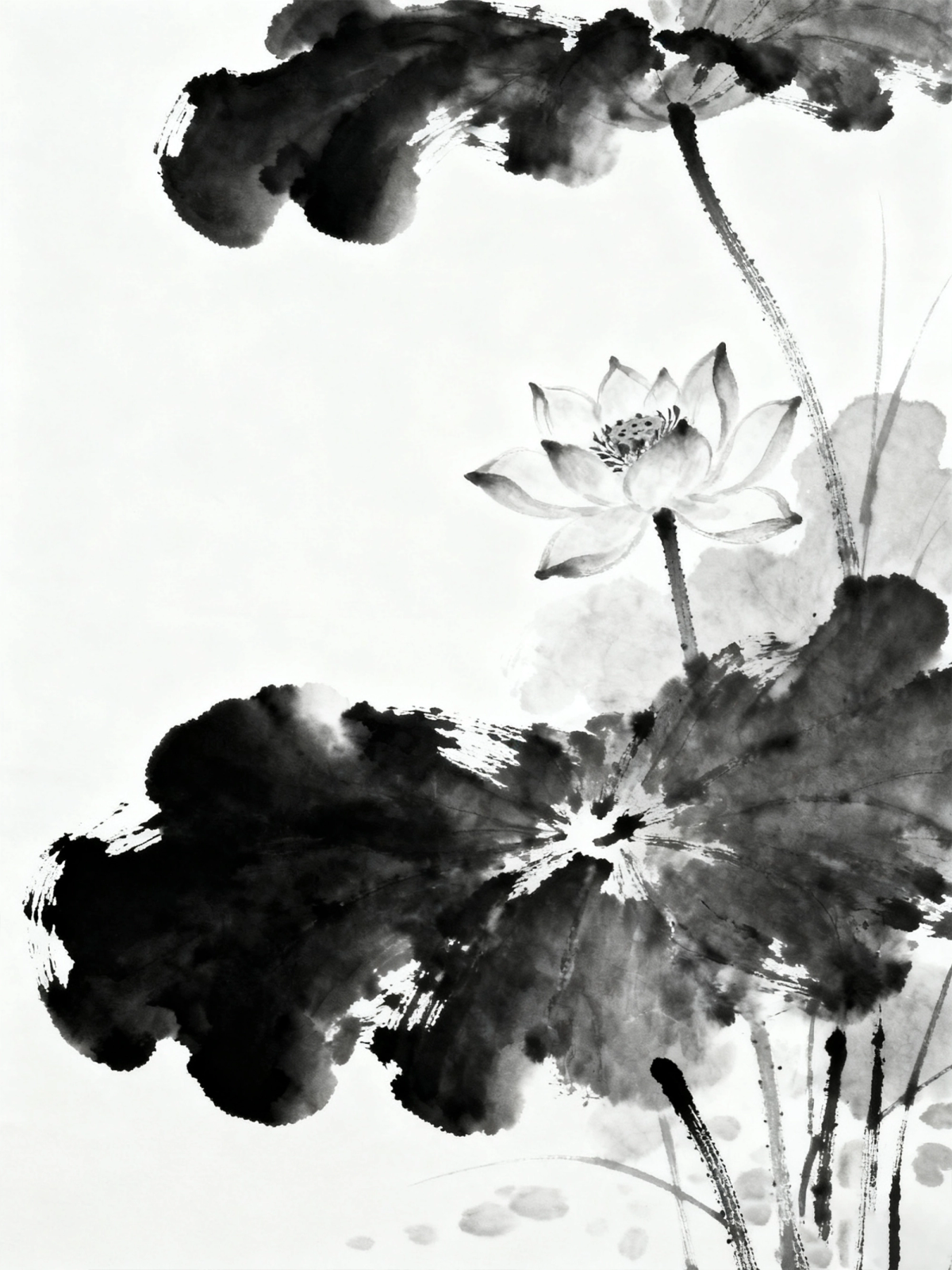 Kreativna Radionica Monokromatsko slikanje Sarajevo 