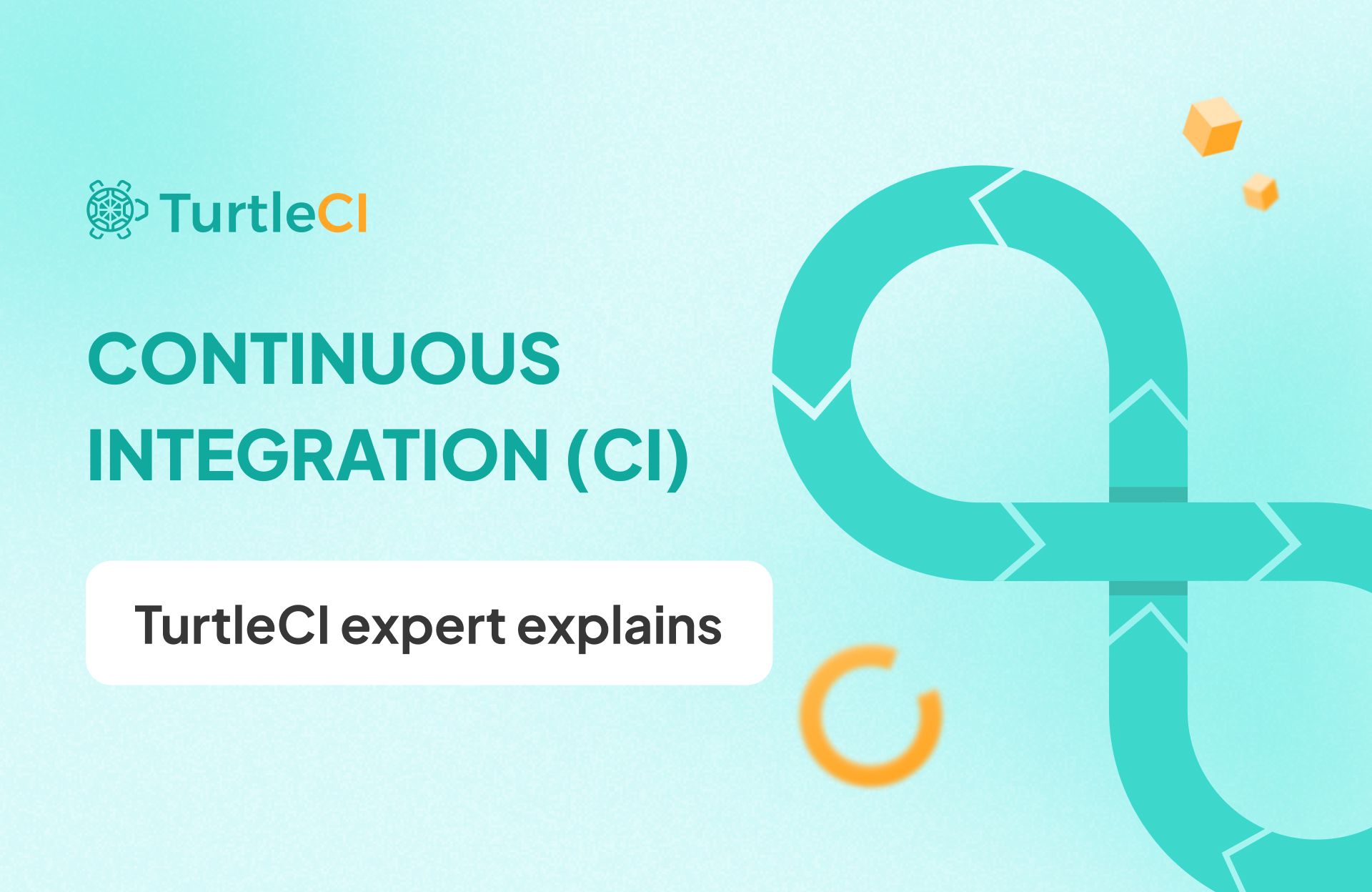 What is Continuous Integration Tool | TurtleCI expert explains