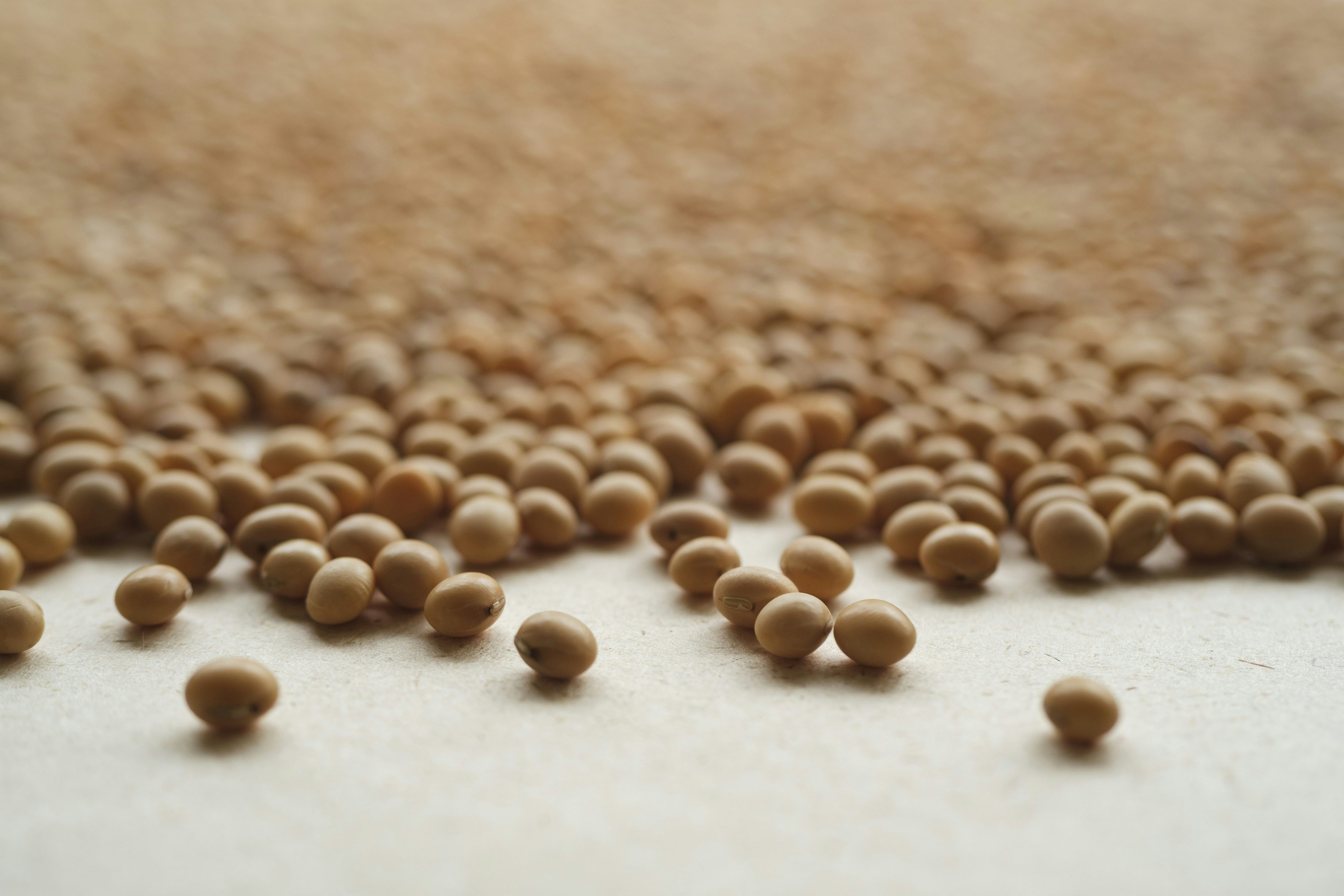 4 Gut-Healthy Foods With More Protein Than an Egg
