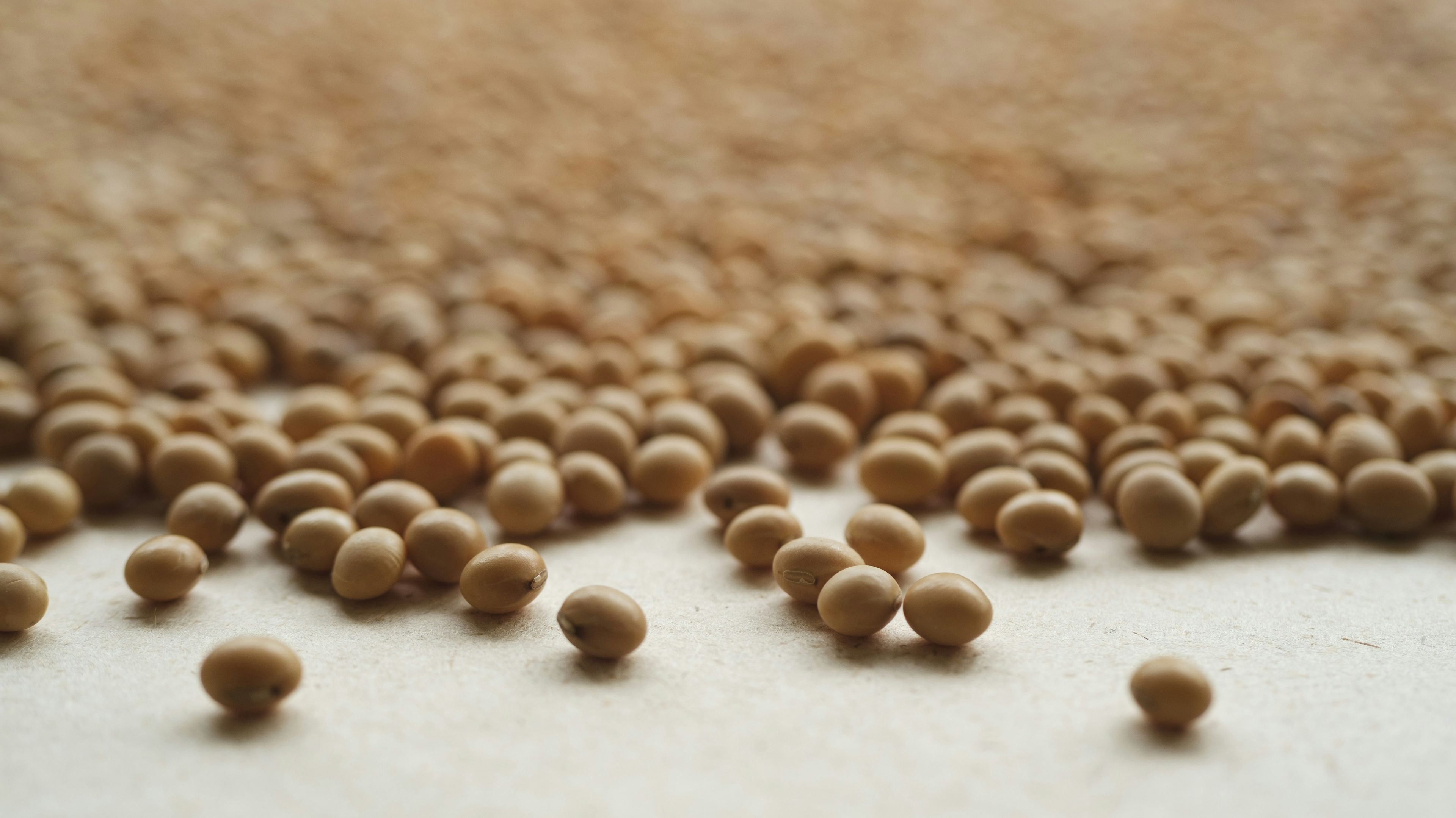 A group of small balls of brown stuff on a white surface