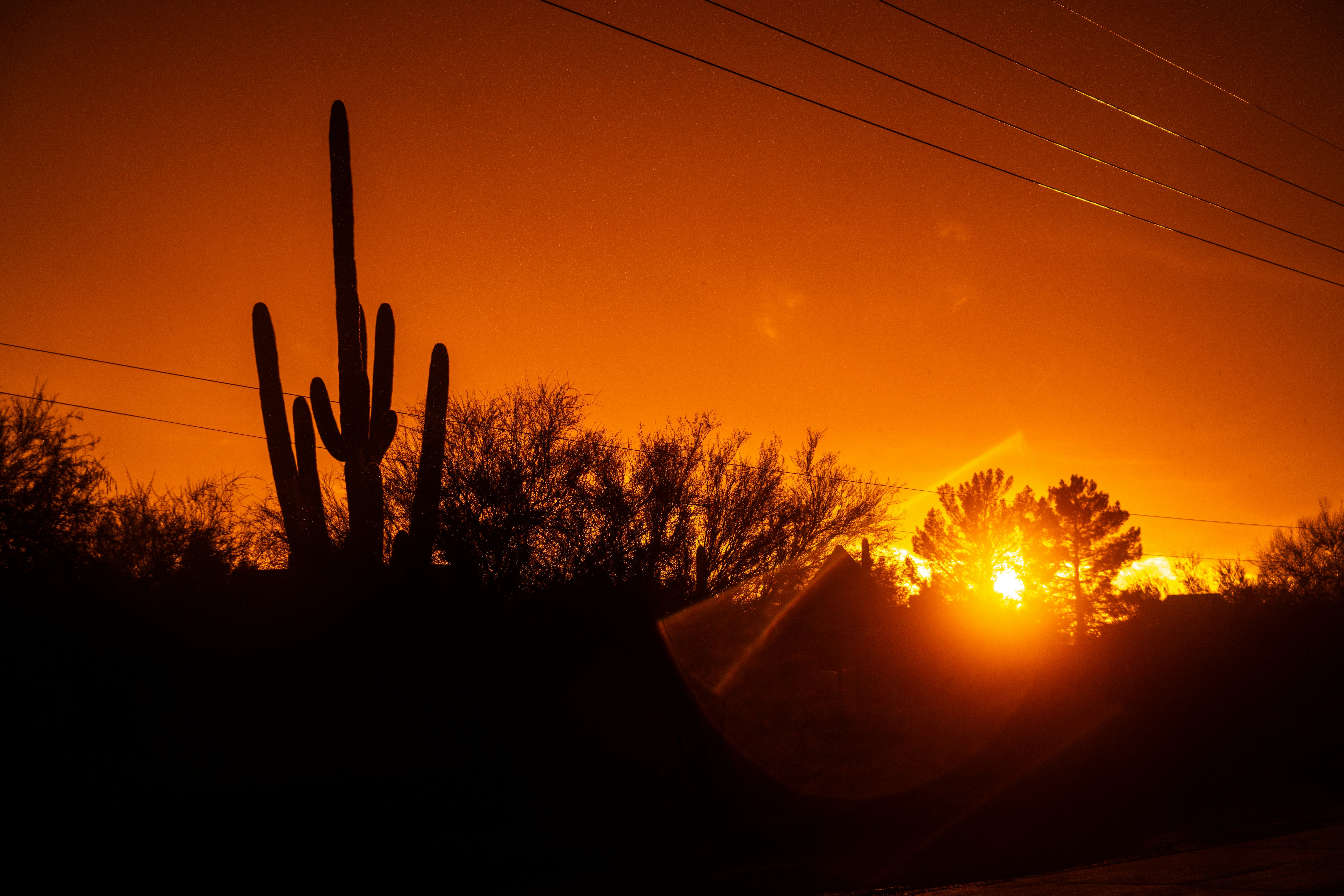A double meteor shower peaks over Arizona this week. Here’s when to look