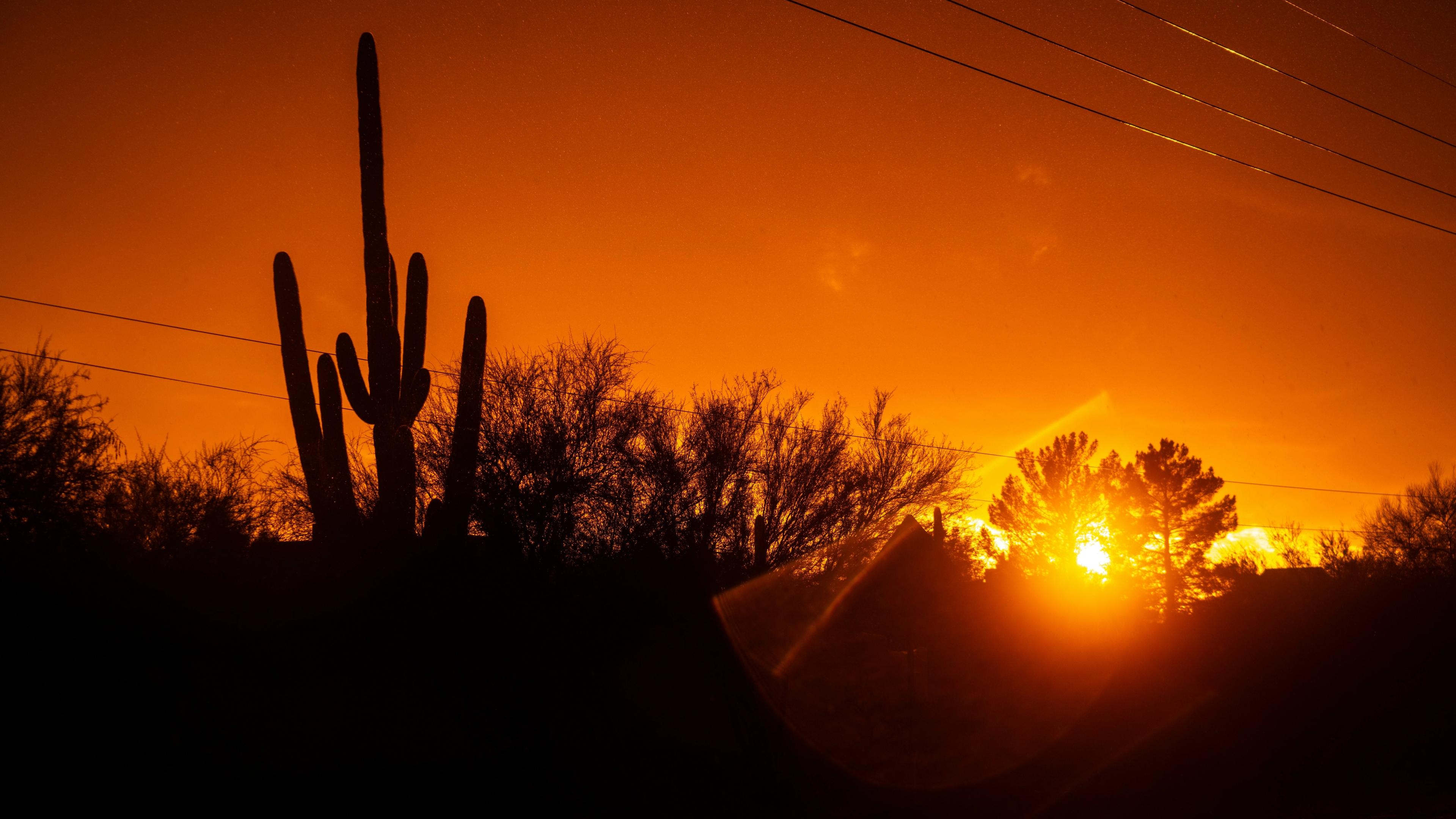 A double meteor shower peaks over Arizona this week. Here’s when to look