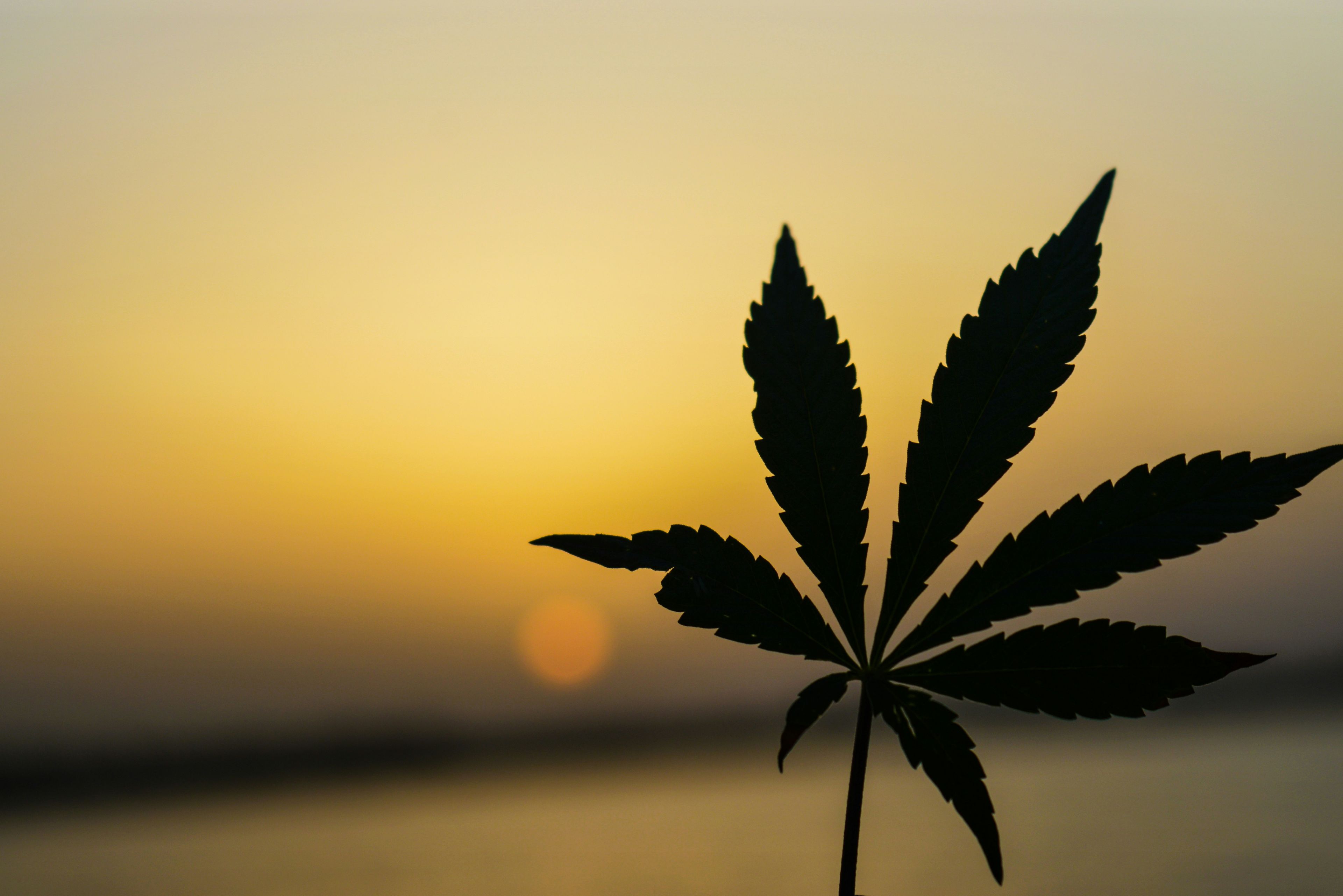 Arizona’s marijuana odor bill feels like a slippery slope