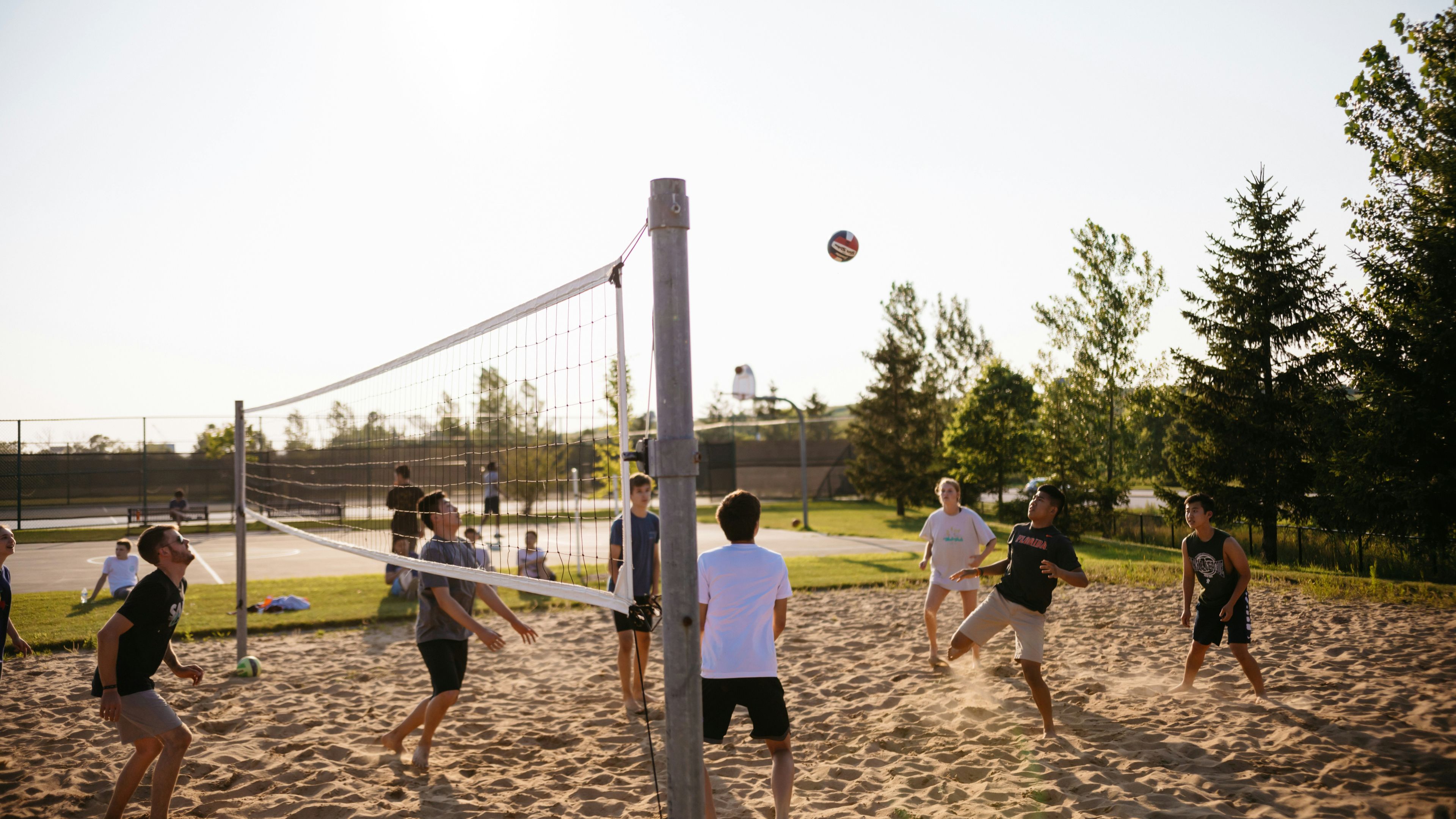 Men playing volleyball near pine trees