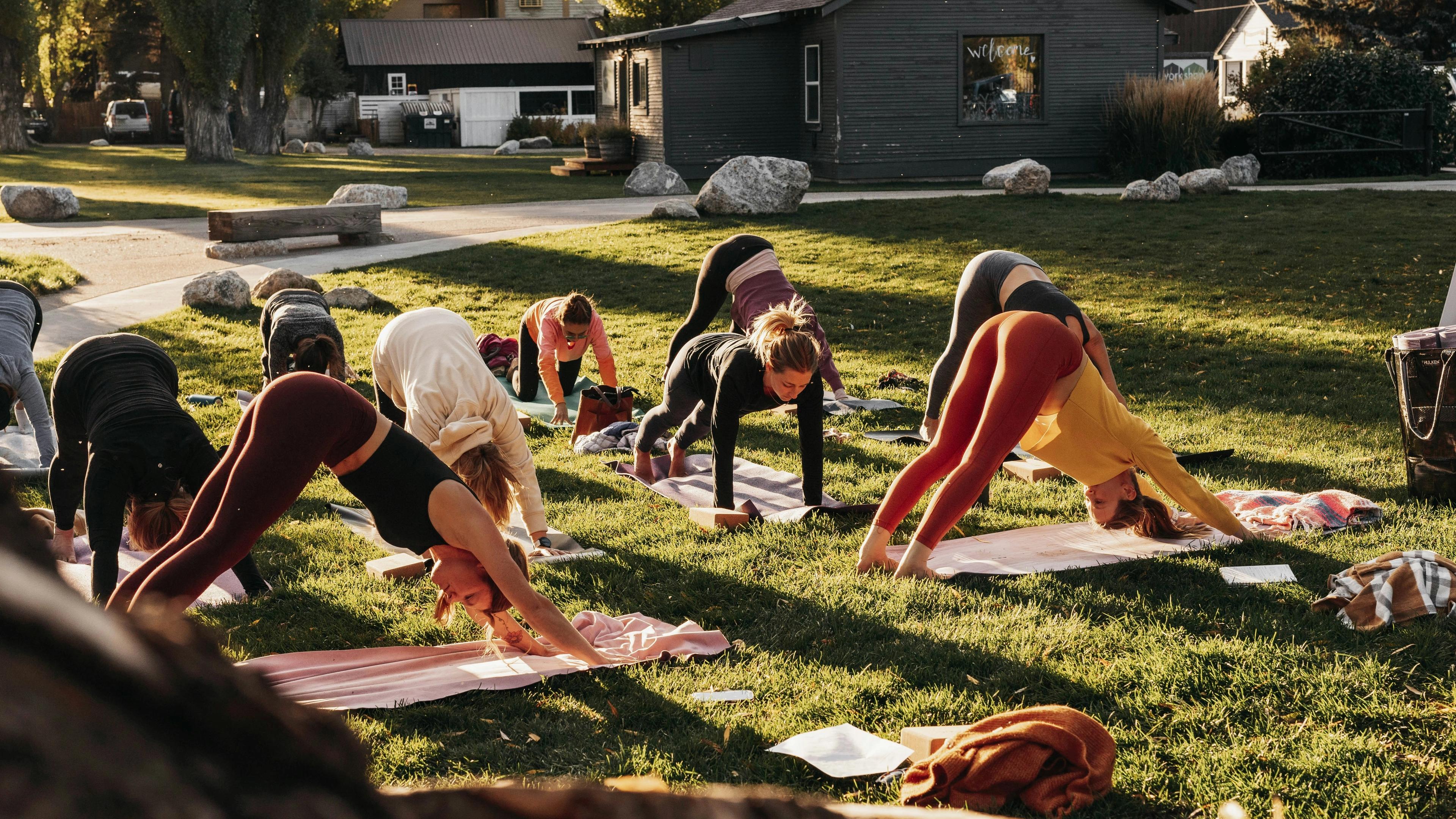 A group of people doing yoga in the grass