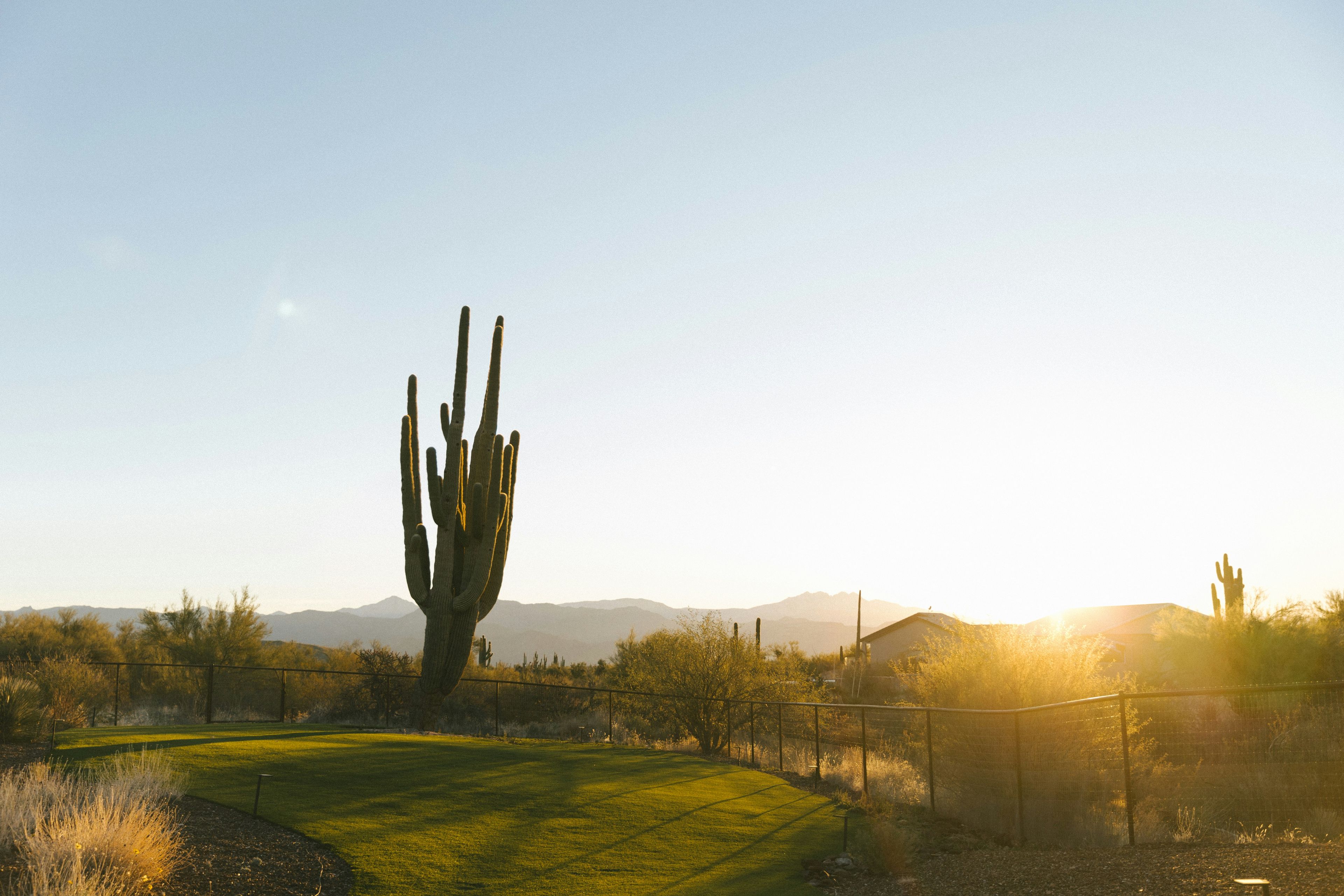 Arizona’s most influential cannabis executives take center stage