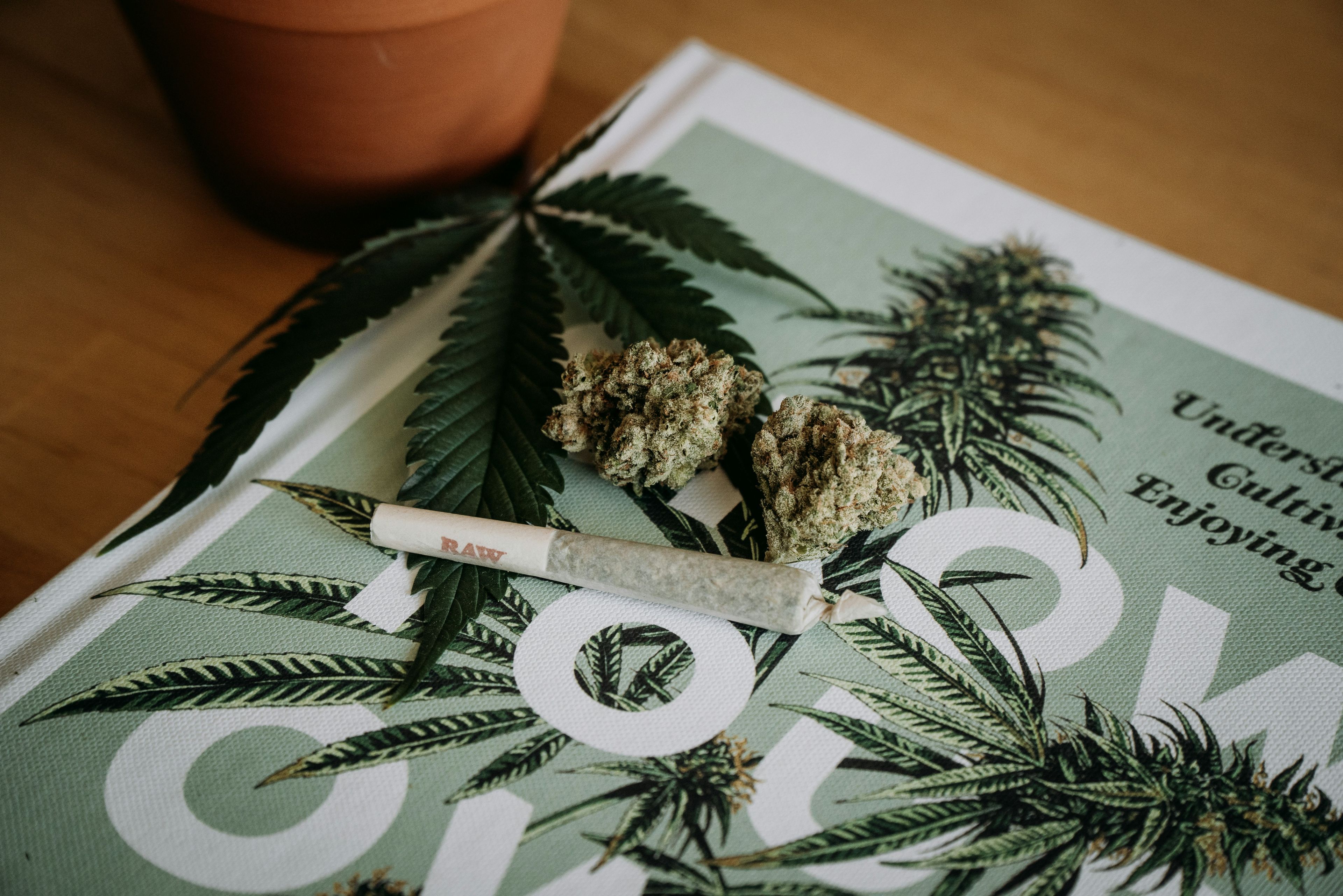 Arizona retirement community gets senior-focused cannabis kiosk