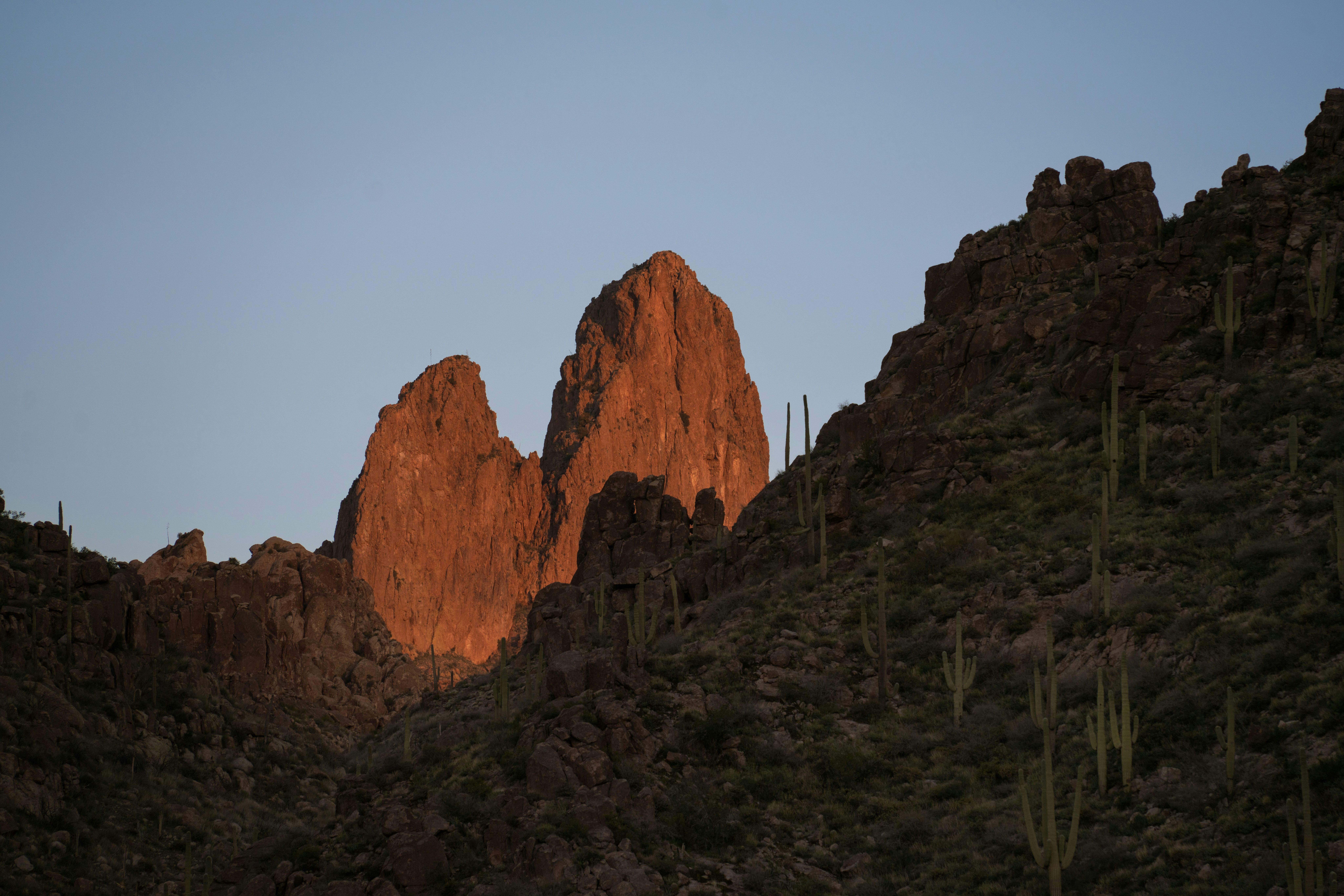 The sun is setting on a mountain with a cactus in the foreground