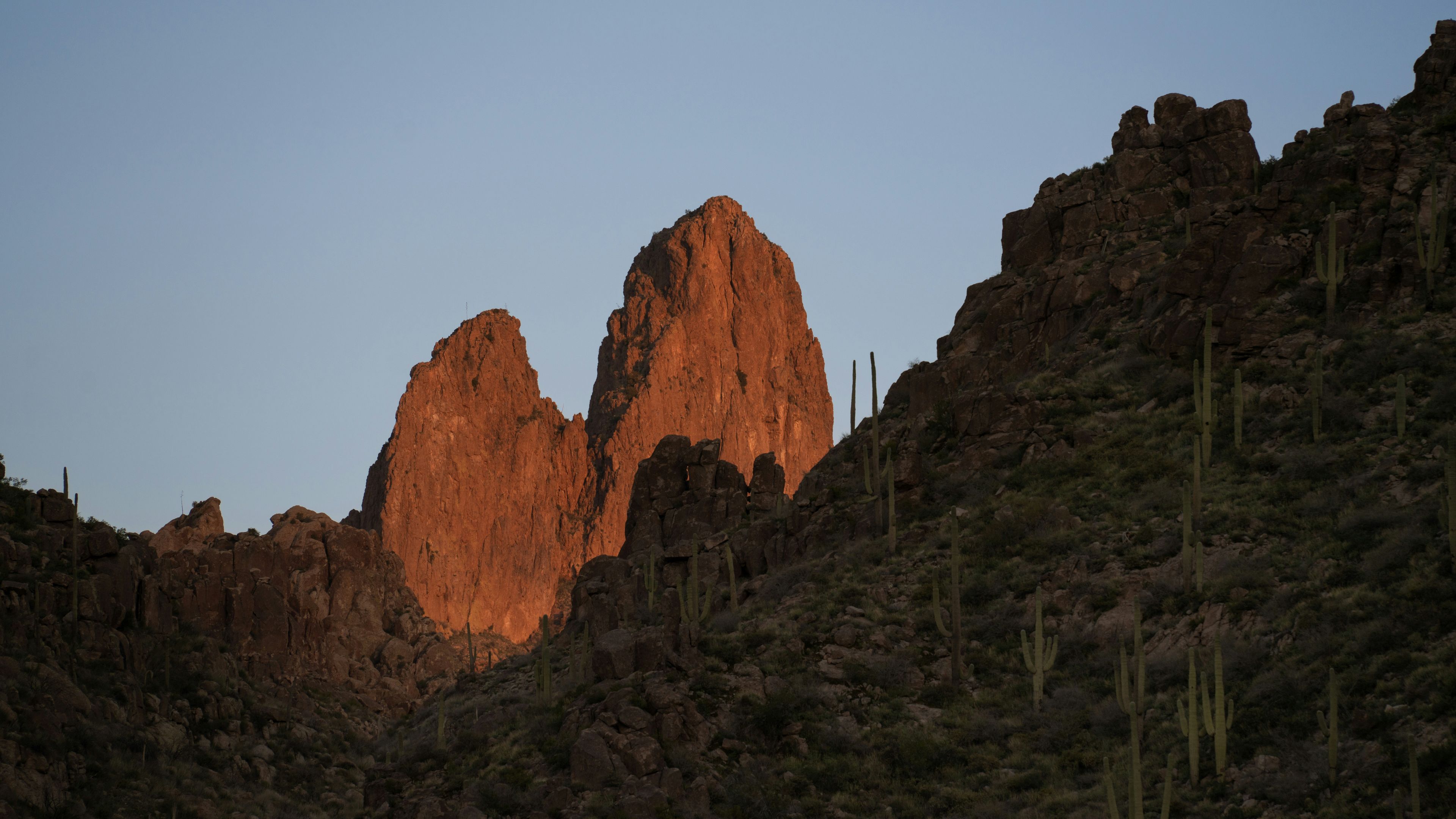 The sun is setting on a mountain with a cactus in the foreground
