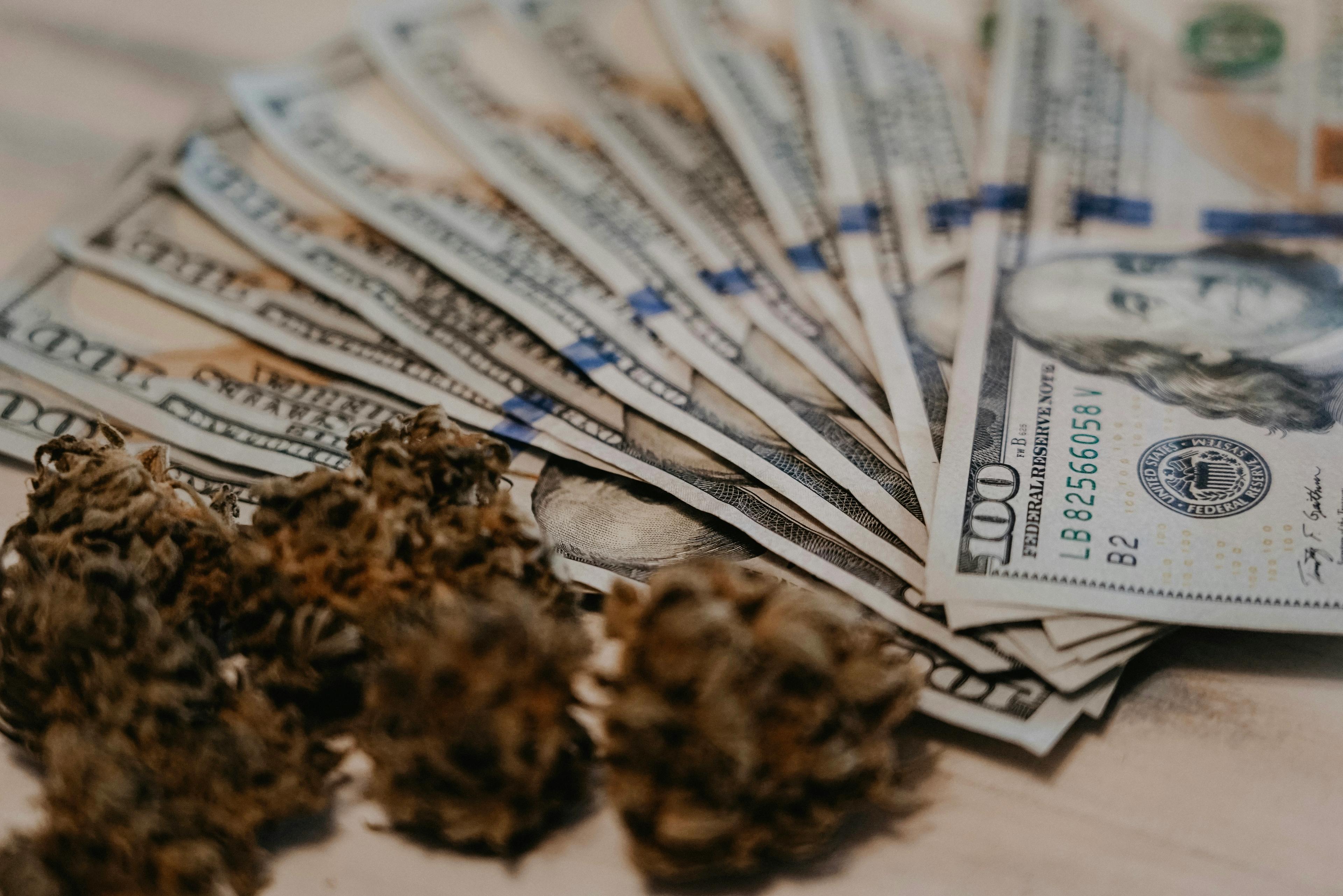 States can’t count on marijuana tax revenue growth