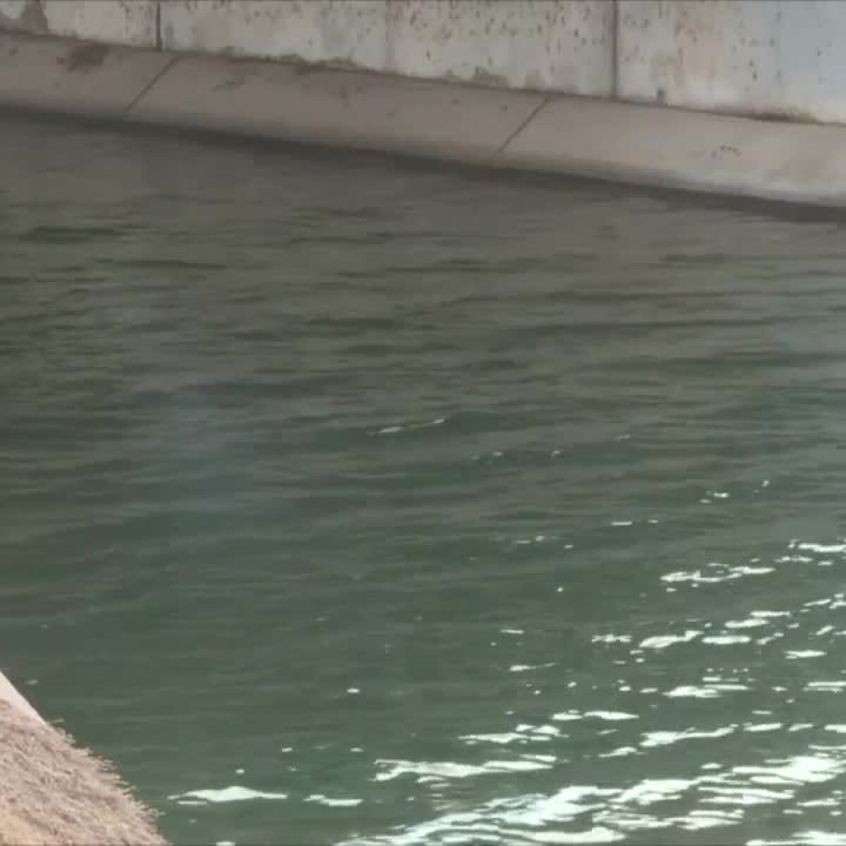 Phoenix Hits Major Water Reuse Milestone as Summer Heat Bears Down