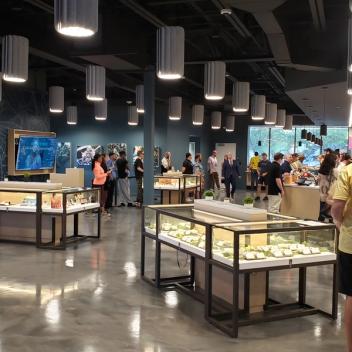 Curaleaf Dispensary Scottsdale