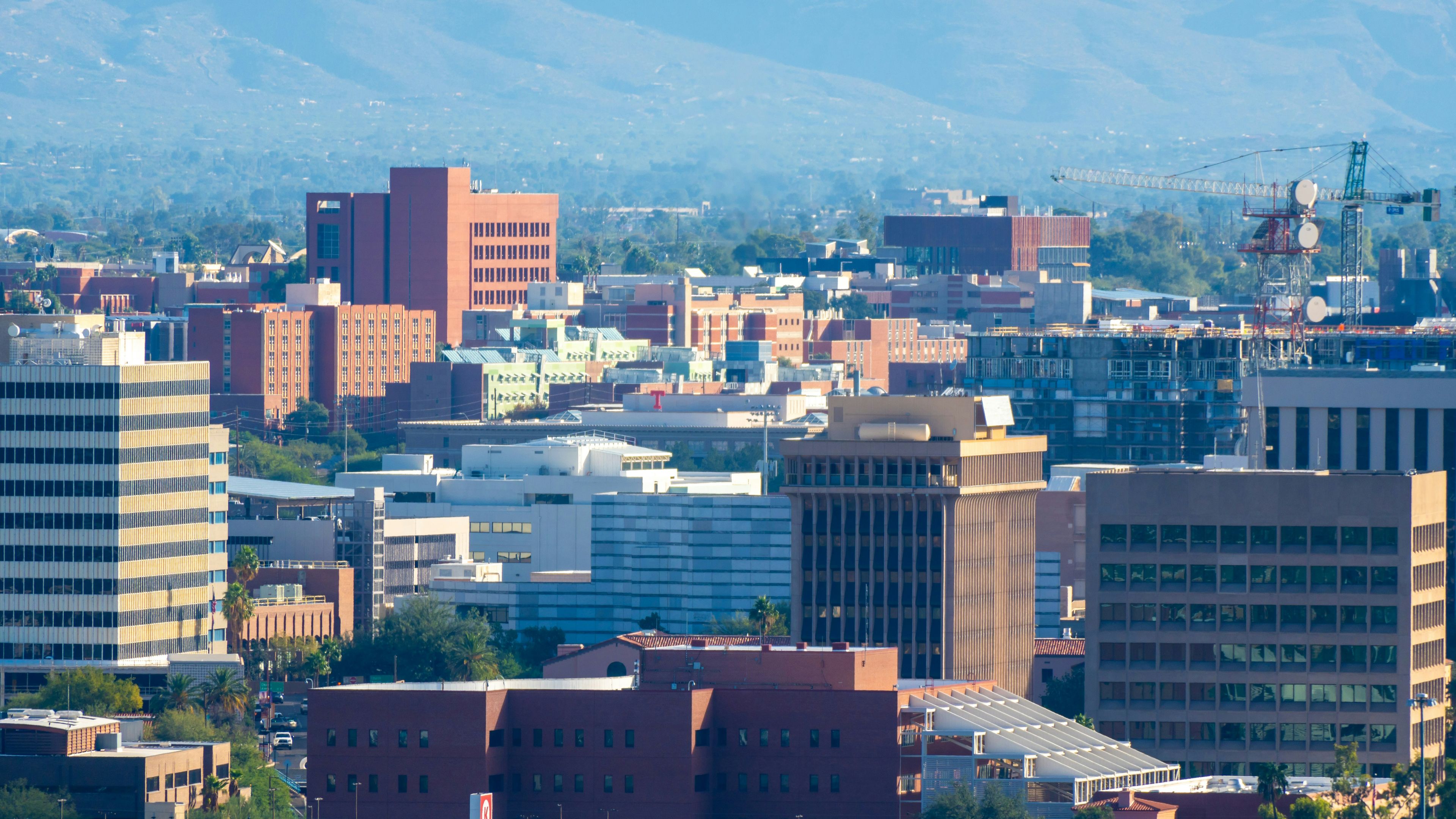 Small Business Awards: Micro winner — Arizona School of Medical Massage and Wellness