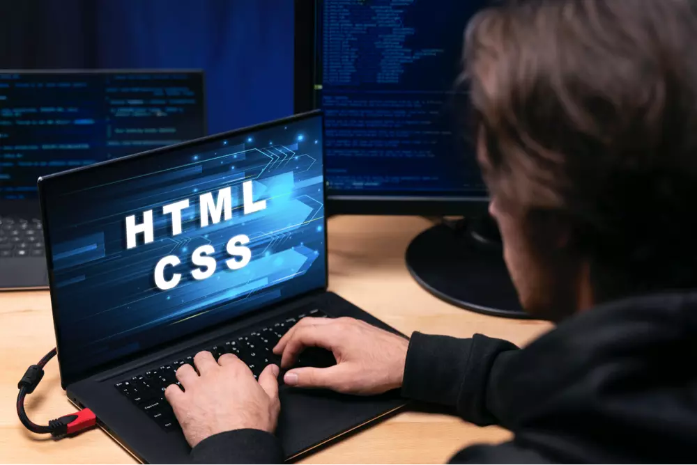 Perbedaan Front End dan Back End pada Website Development