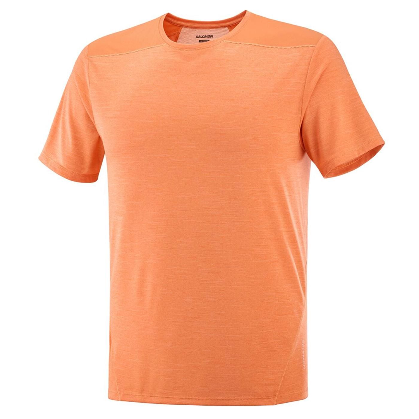 OUTLINE SS TEE langoustino