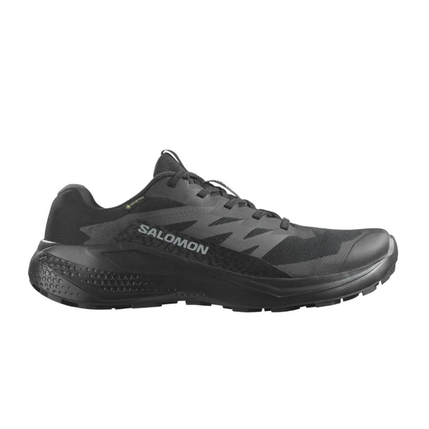 ALPHAGLIDE GTX black/asphalt/black