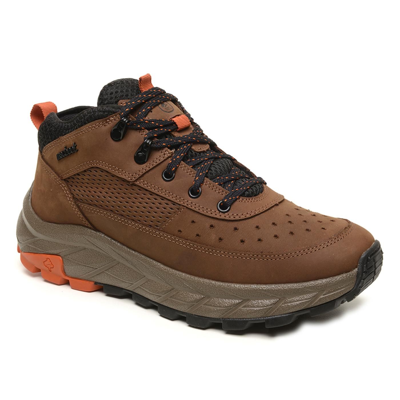 ZAPATO GRAV02-CH36A c/horse brown