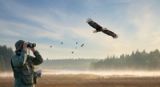 The Ultimate Birdwatching Guide: Best Places, Times, and Tips for Beginners (2026)