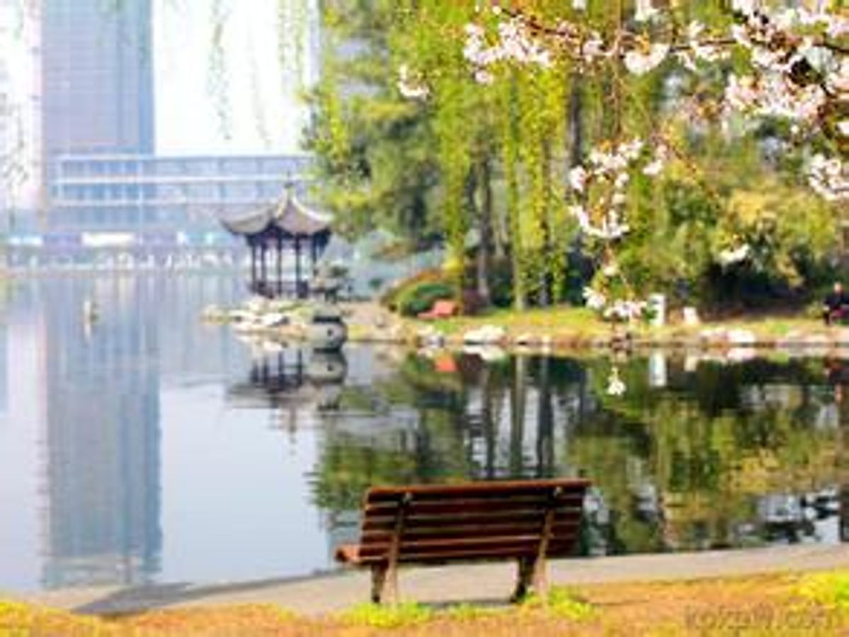 Lakeside garden on the Zhejiang University campus with a pavilion, willow trees, and a bench.