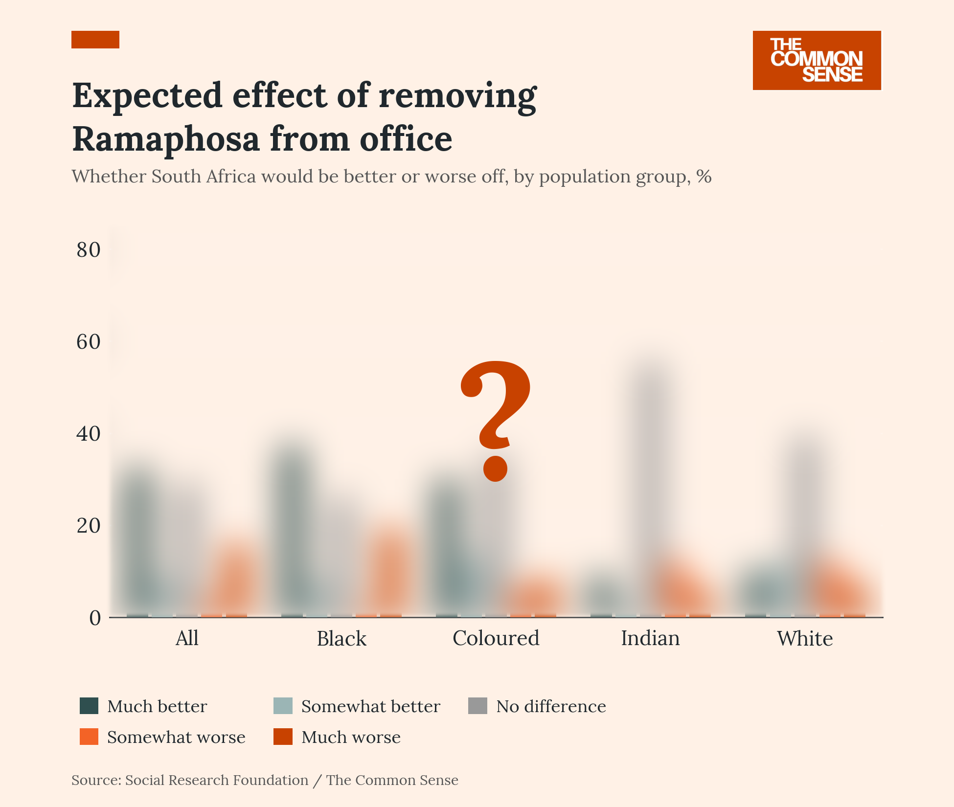 New Survey Reveals Mixed Public Opinion on President Ramaphosa’s Leadership