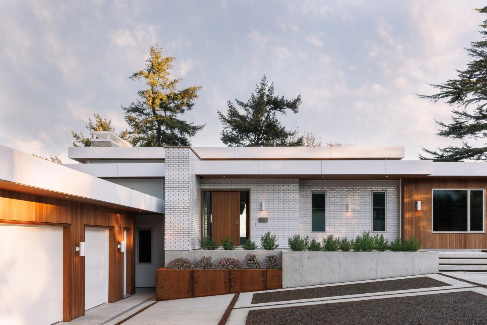 A long low house at dusk behind a forecourt laid in concrete panels and exposed aggregate, white brick and vertical cedar under flat roof planes, firs standing behind.