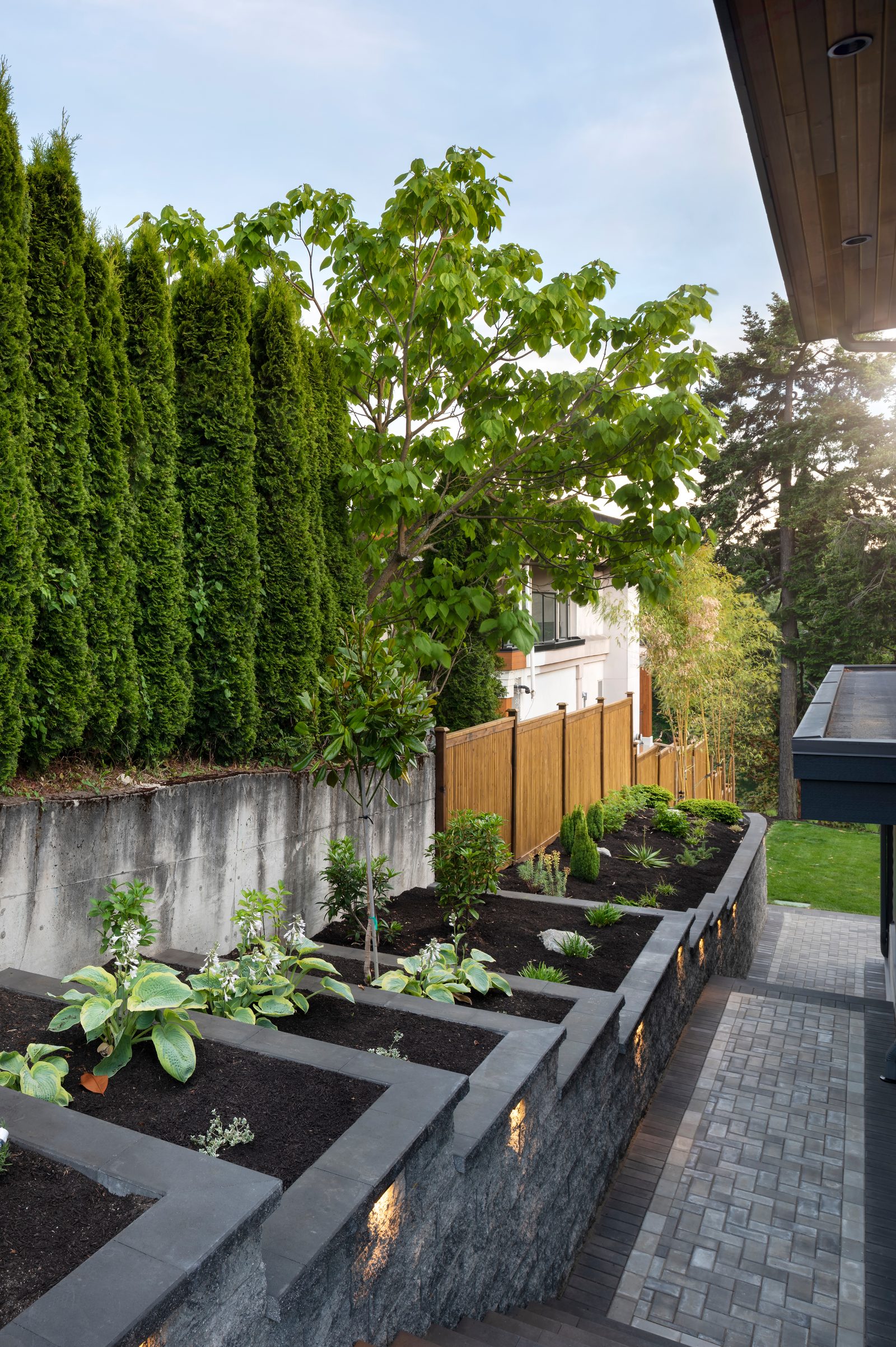 Terraced planting beds in charcoal block with hostas and shrubs beside a paver path and cedar fence